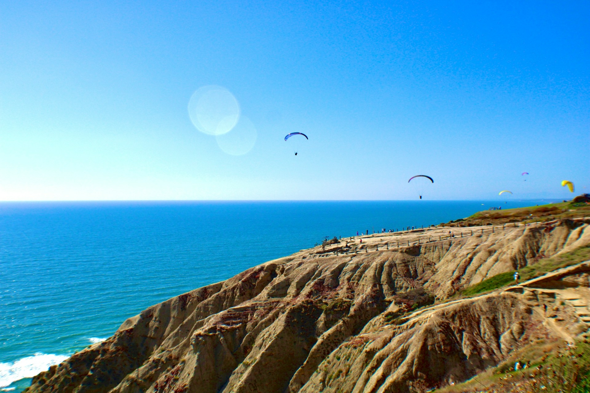 Paragliding at Torrey Pines Gliderport San Diego Image By micah fluhart unsplash
