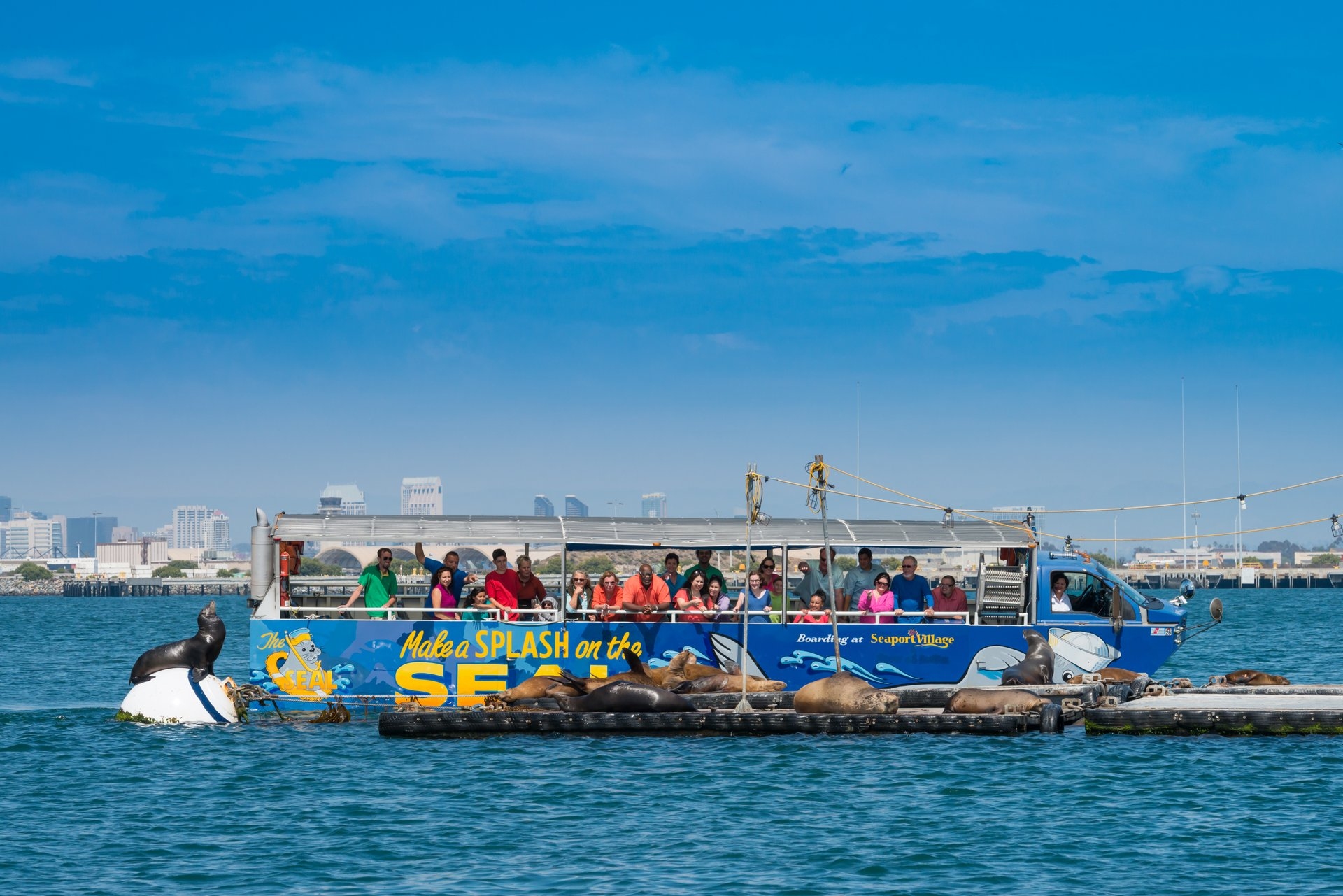 San Diego Seal Tours Image By San Diego Tourism Authority