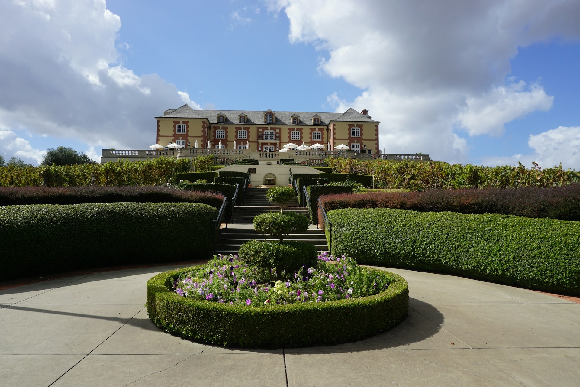 Sonoma Wine Region West side of Napa Image By roy zeigerman unsplash