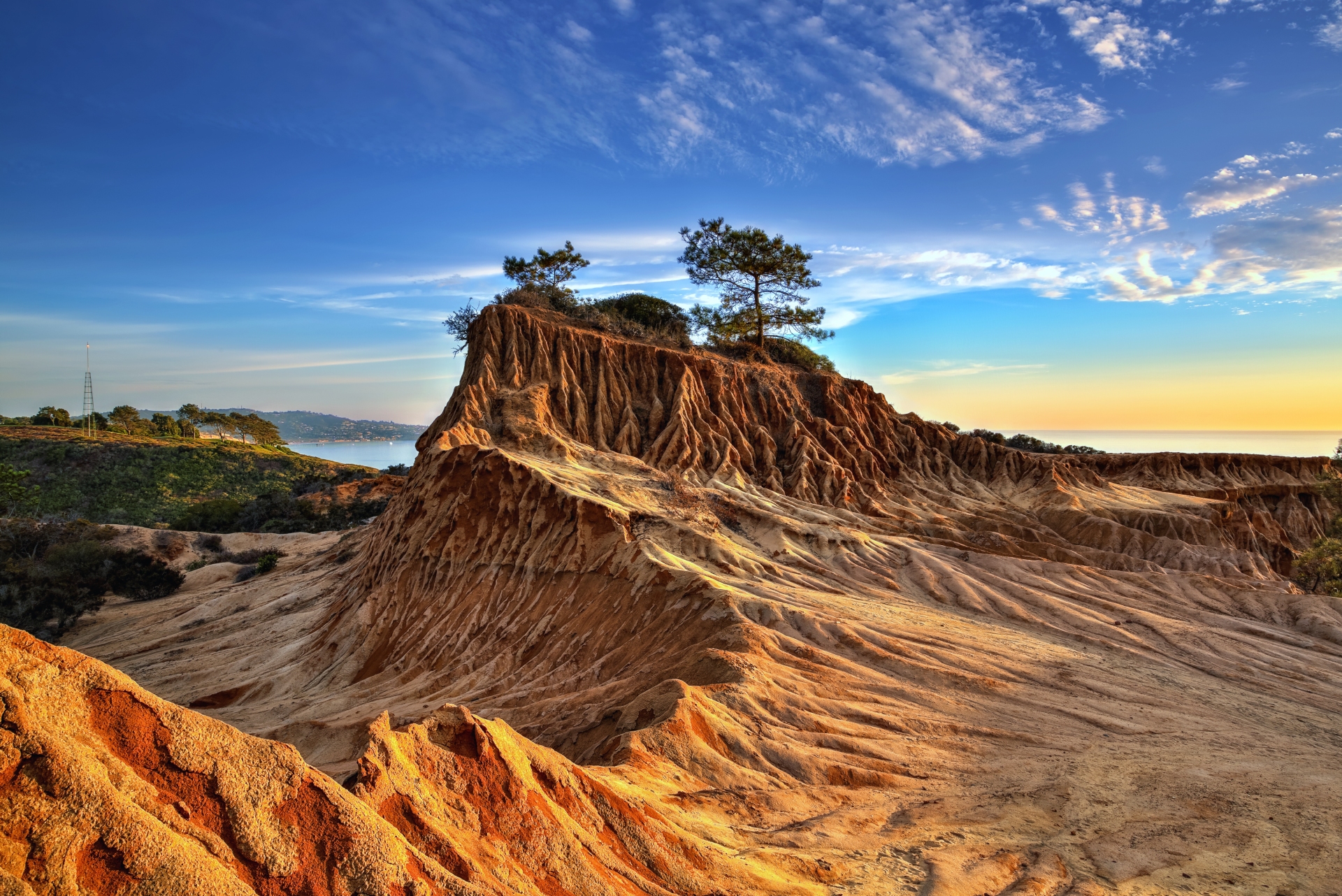 Torrey Pines State Preserve San Diego Courtesy of the San Diego Tourism Authority 1
