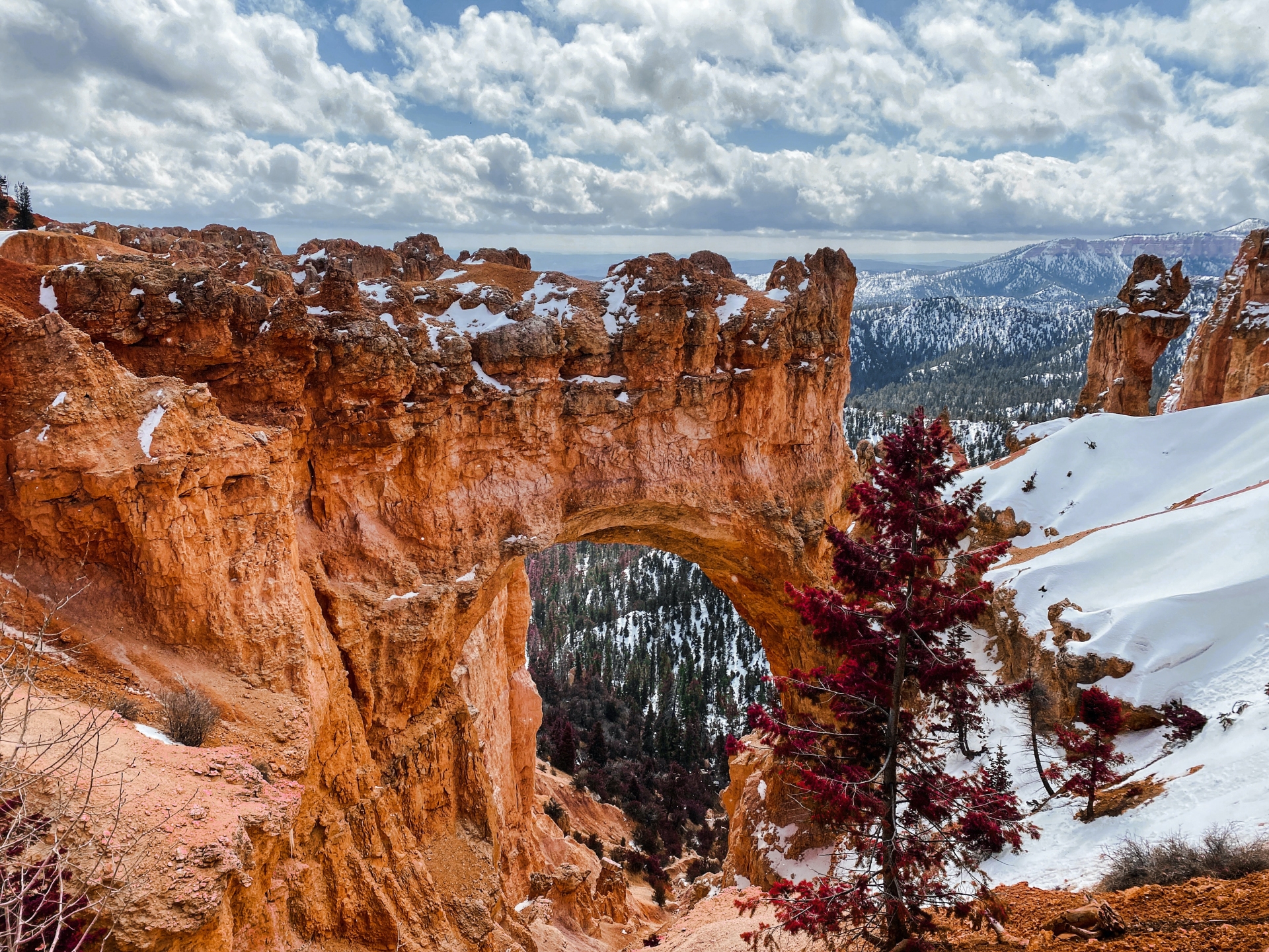 Bryce Canyon National Park Utah2 unsplash copy