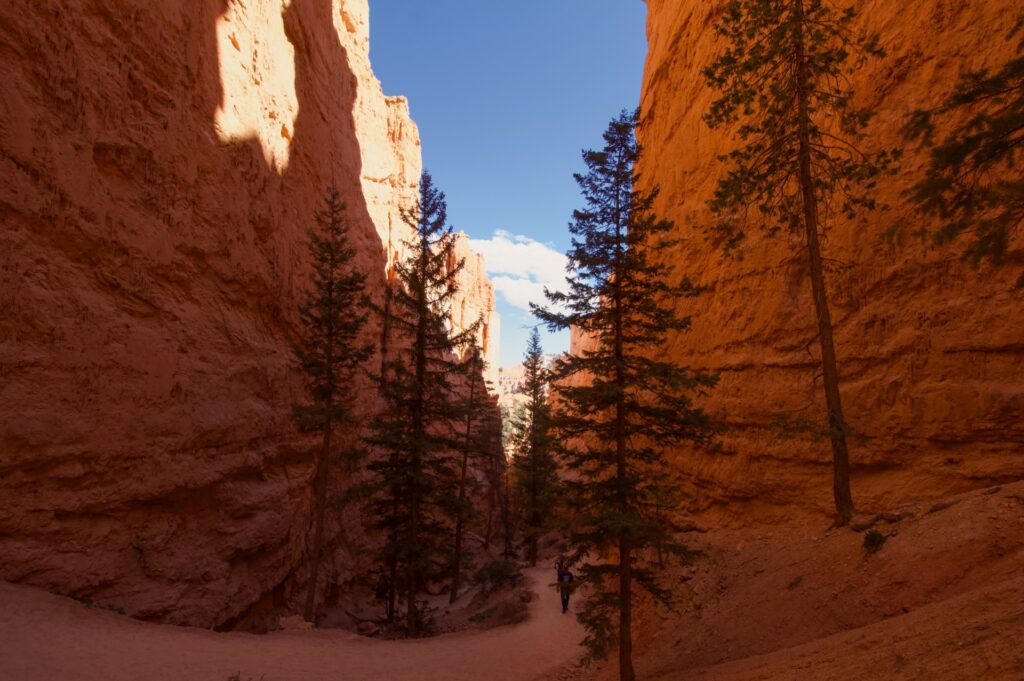 Bryce Canyon National Park Utah3 unsplash