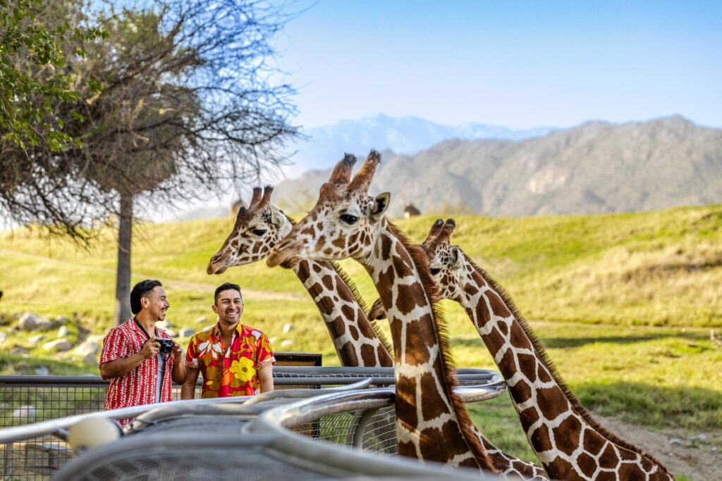 Living Desert Zoo Gardens 2 Credit Visit Greater Palm Springs