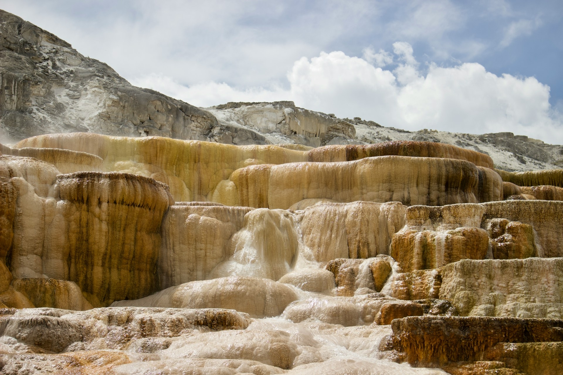 Mammoth Springs Yellowstone Image By hana oliver unsplash