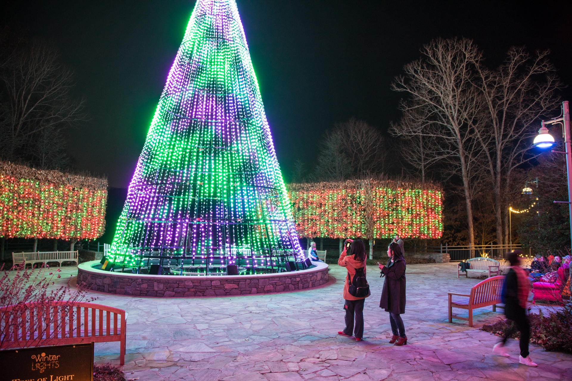 The NC Arboretum WInter Lights People Enjoying Large Tree Credit Visit North Carolina