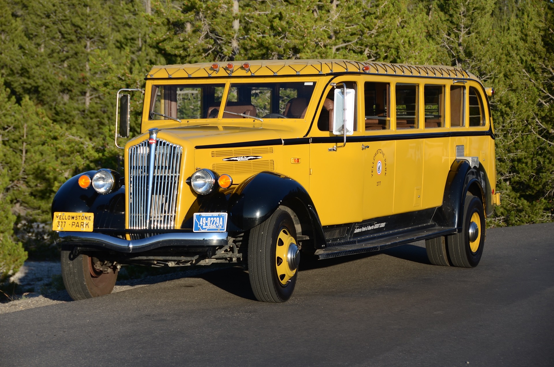 Yellowstone Bus Jammer WY Image by Steve from
