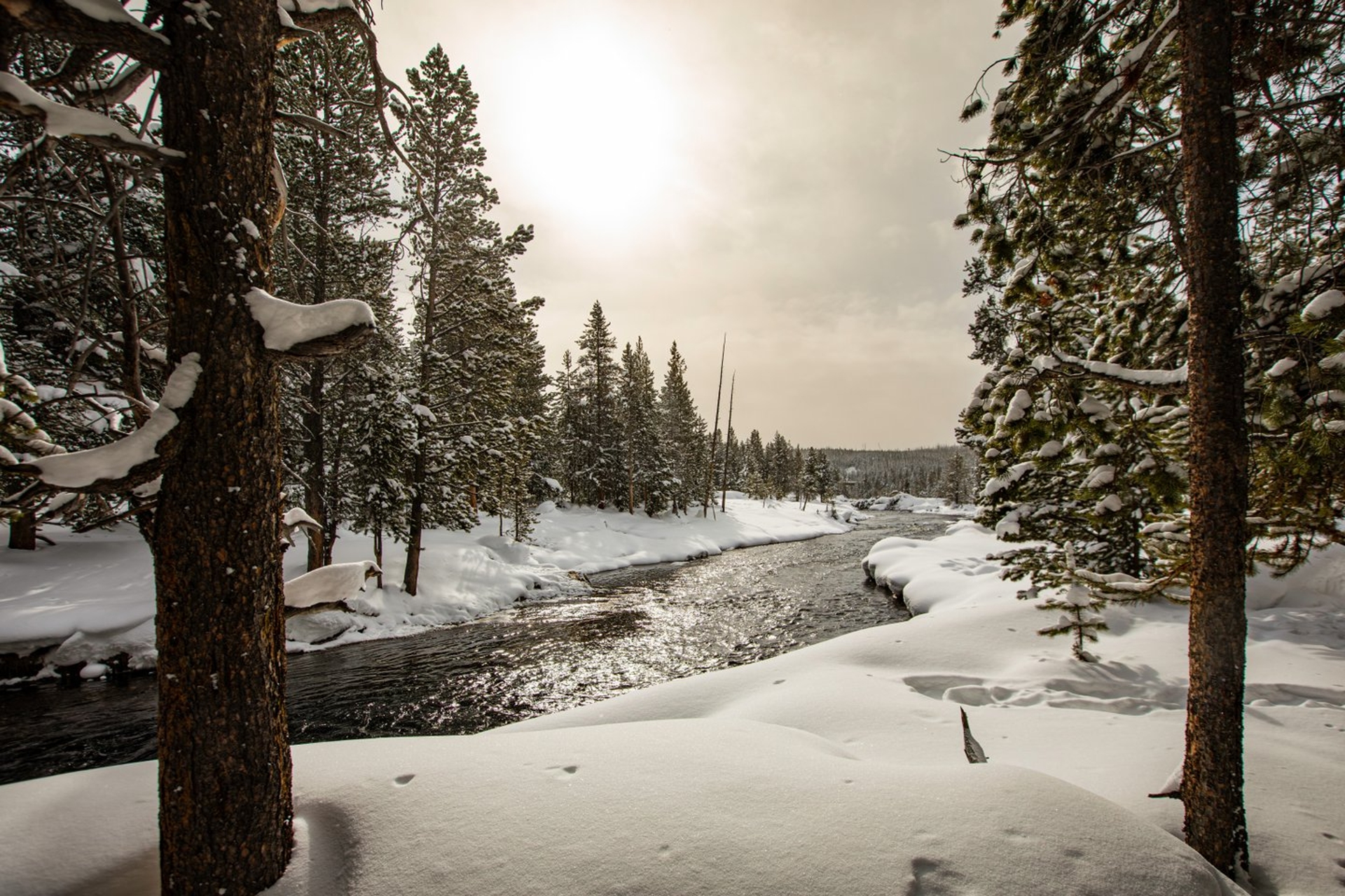 Yellowstone National Park2 TB