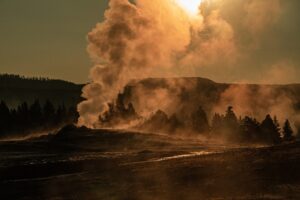 Yellowstone Nature WY 6817514 1920 Image by Siegfried Poepperl from Pixabay
