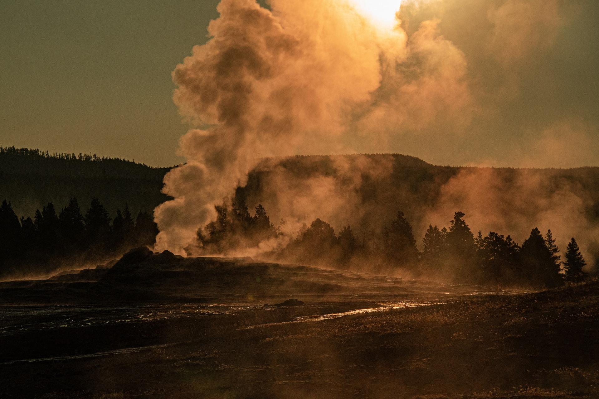 Yellowstone Nature WY 6817514 1920 Image by Siegfried Poepperl from