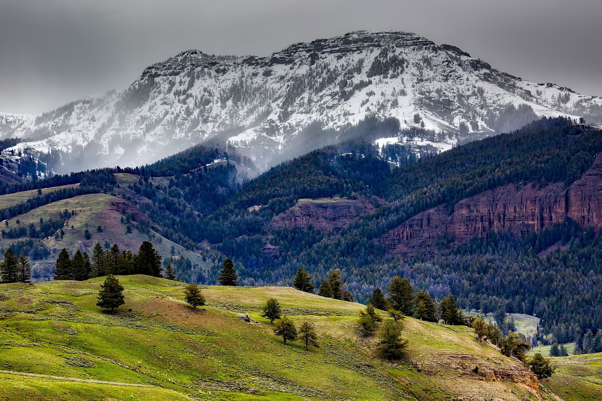 Yellowstone Park WY Image By 1730069