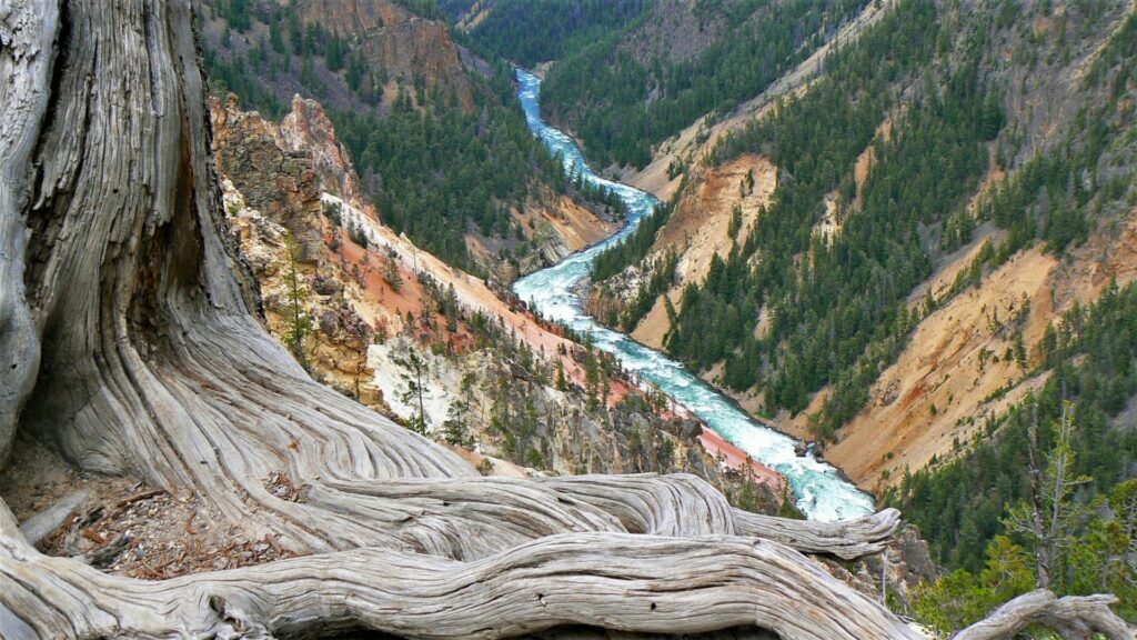 Yellowstone River WY Image By christopher osten unsplash