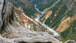 Yellowstone River WY Image By christopher osten unsplash