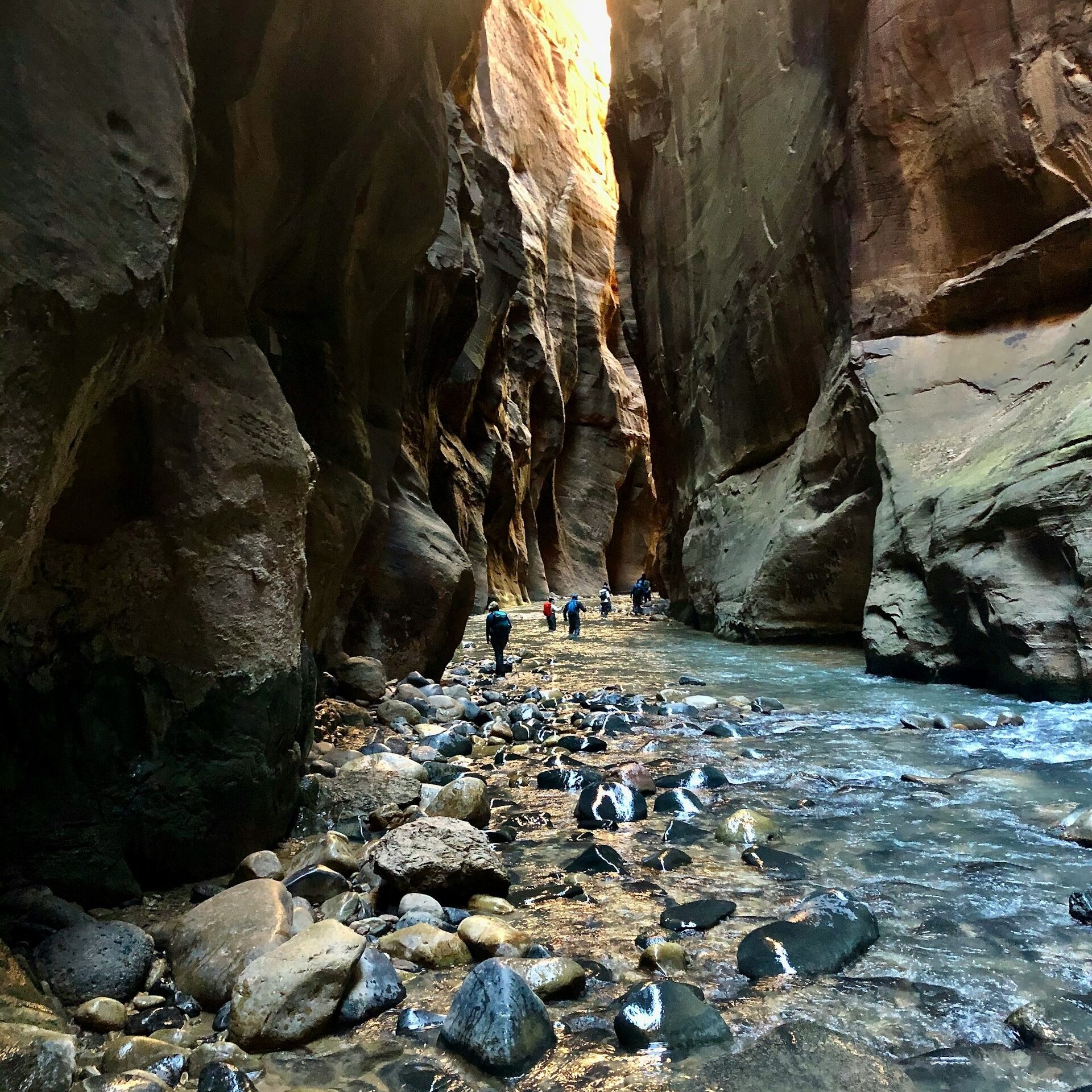 Zion Narrows Zion NP UT Image By gary runn unsplash e1719727071360