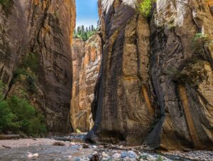 Zion Narrows Zion NP UT Image by Frank Ravizza from Pixabay e1719726634812