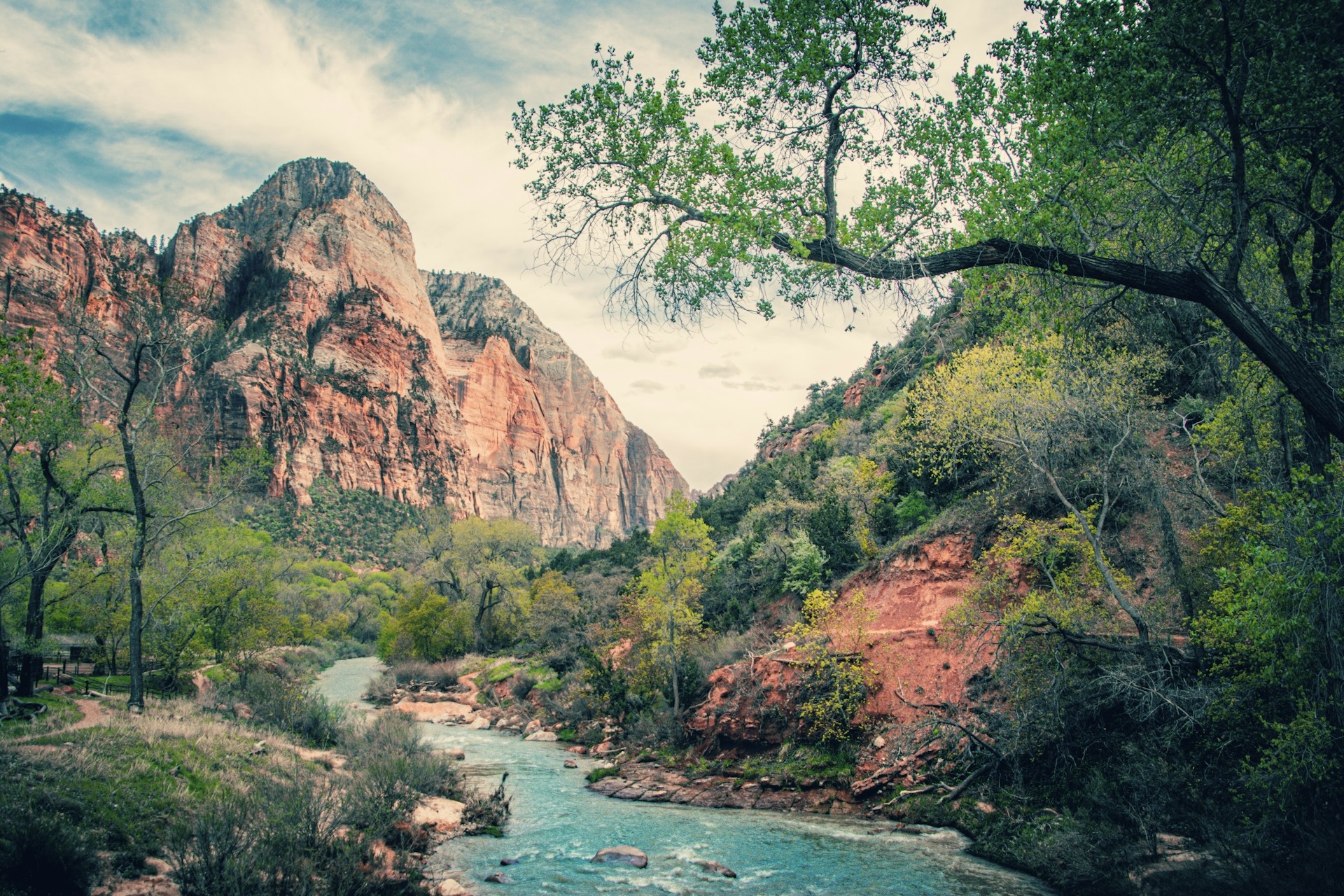 Zion National Park Image By Yannick Menard unsplash