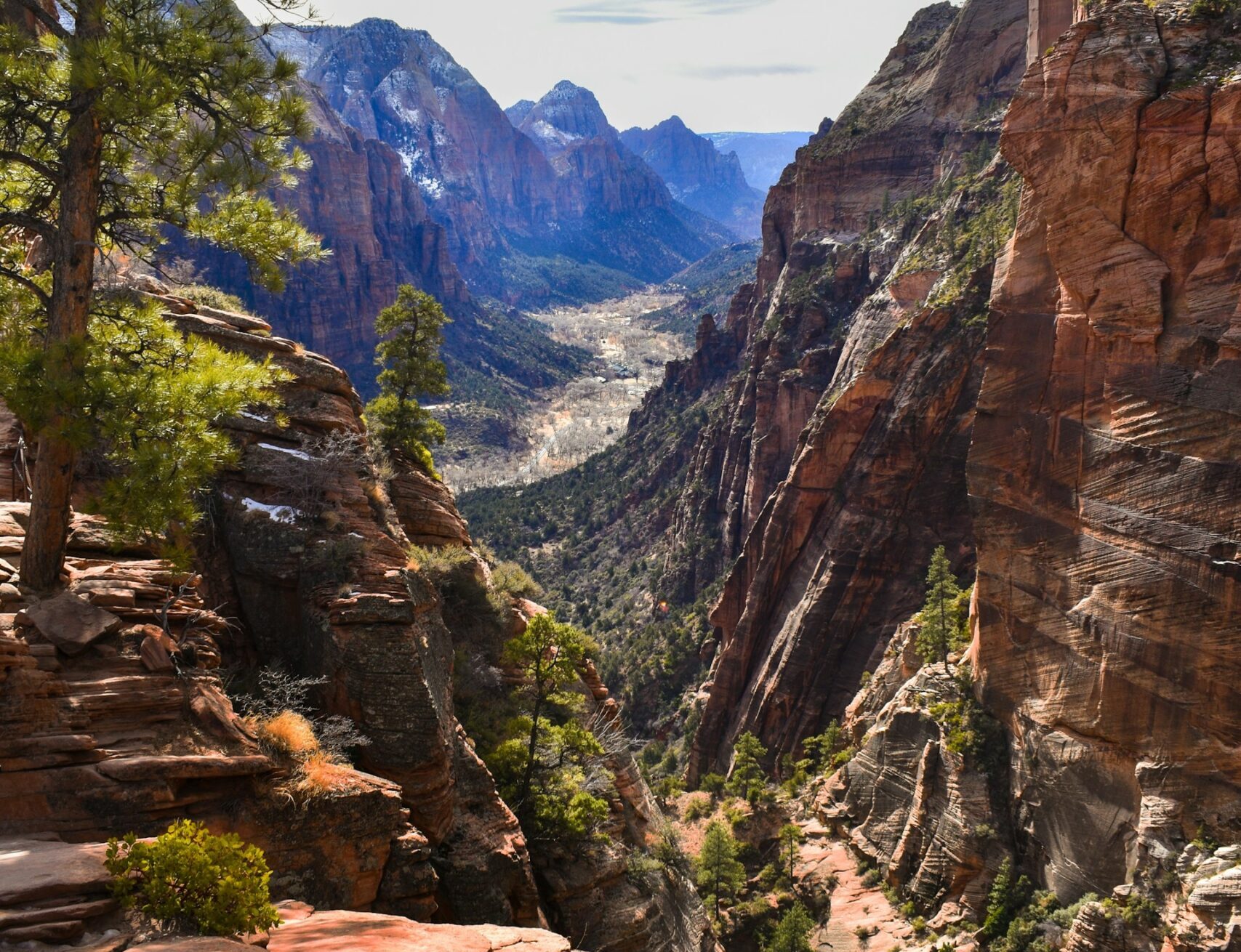 Angels Landing Zion National Park Image By reed geiger unsplash scaled e1771760822219