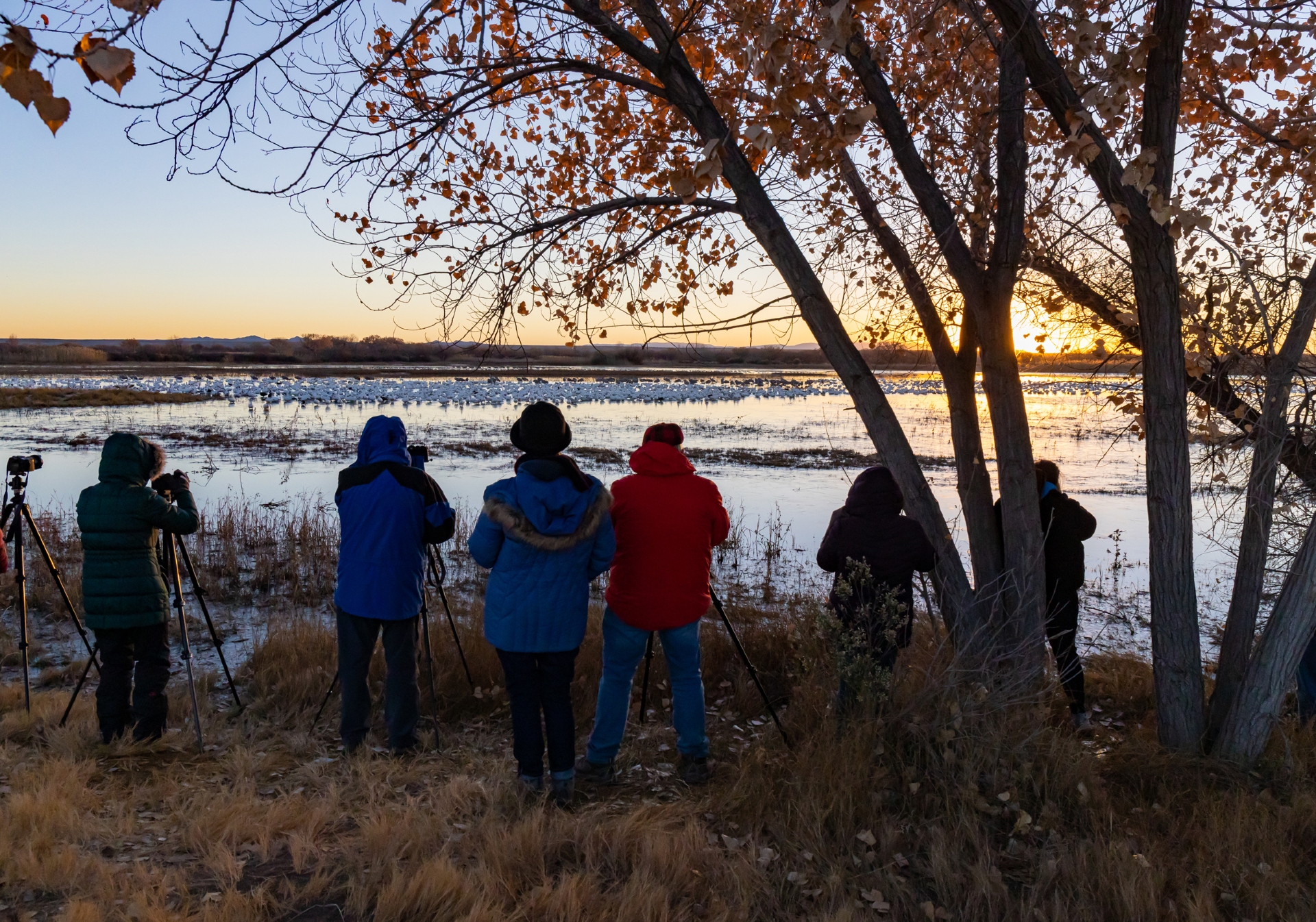 Bosque del Apache 2 Credit New Mexico True