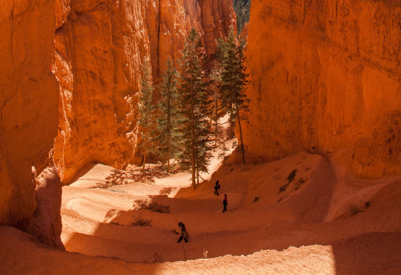 Bryce Hiking the Navajo Loop trail 2 Bryce Canyon National Park Image By Matt Morgan Visit Utah scaled e1719881662878