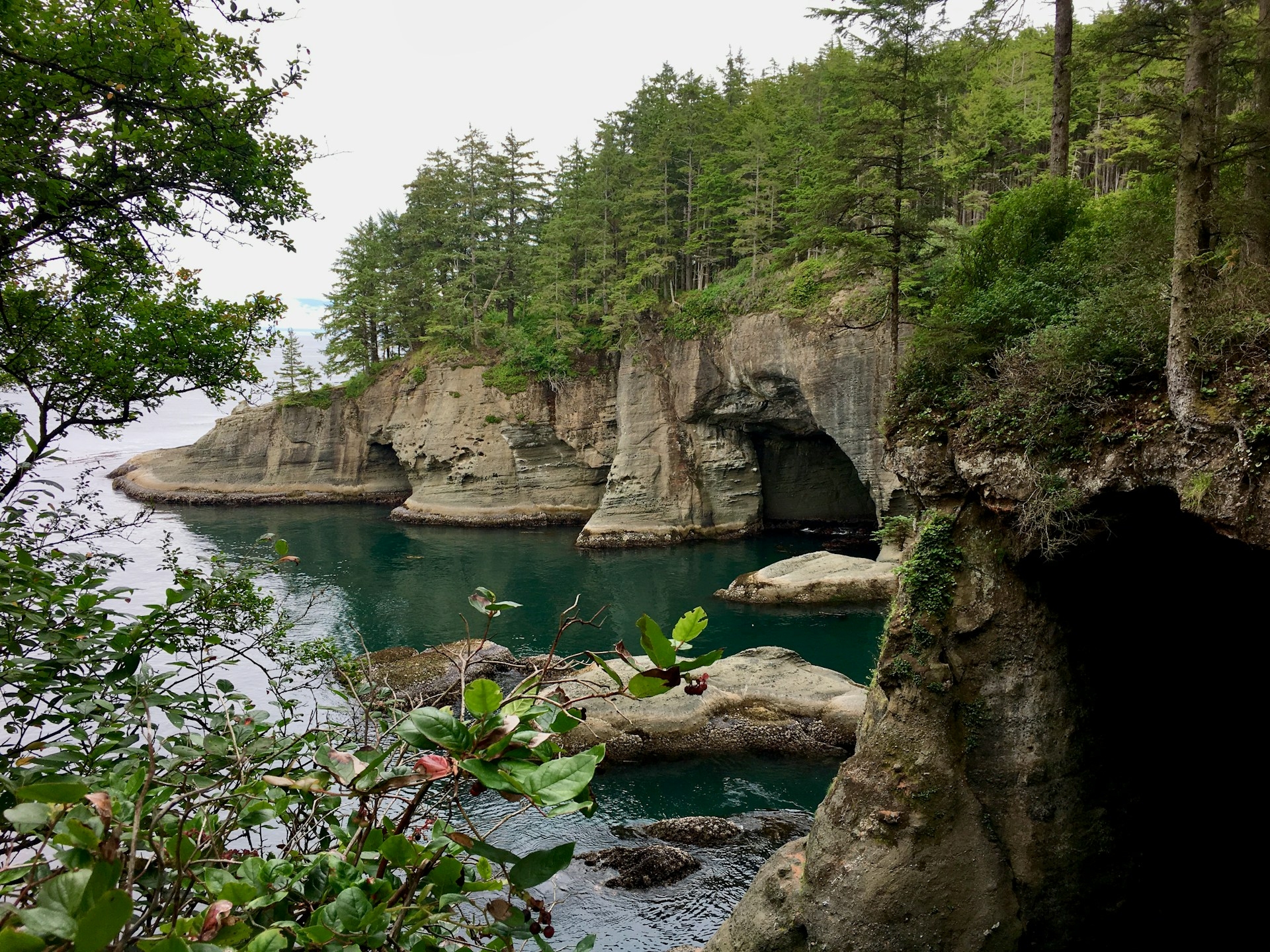 Cape Flattery WA Image By zoshua colah unsplash