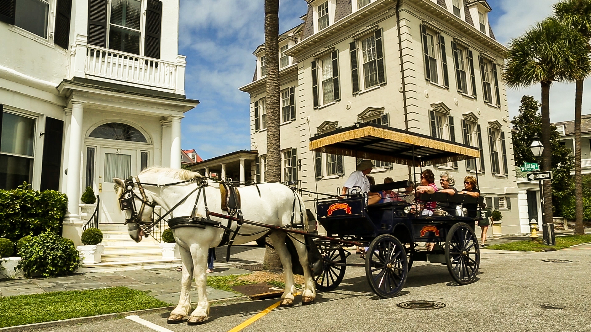 Charleston Horse Cart SC Image By Brand USA