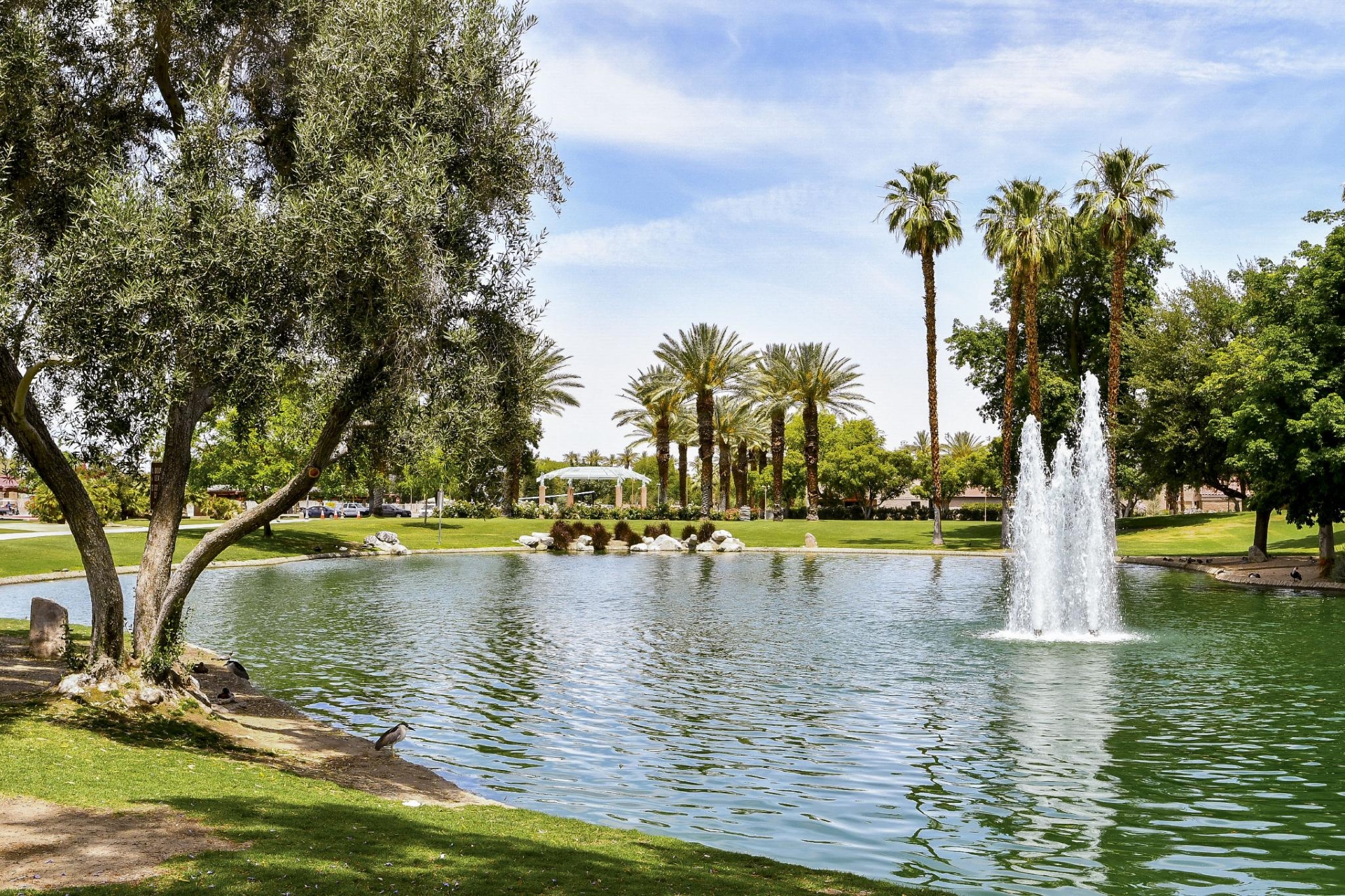 Civic Centre Park in Palm Desert Credit Visit Greater Palm Springs