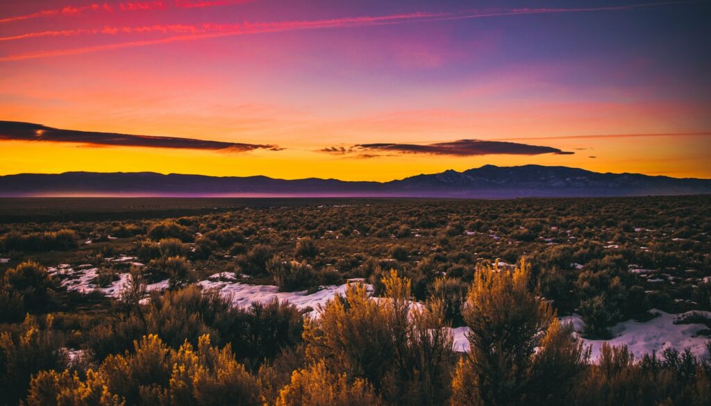Desert Landscape of New Mexico Image By davron bowman unsplash e1721091464783
