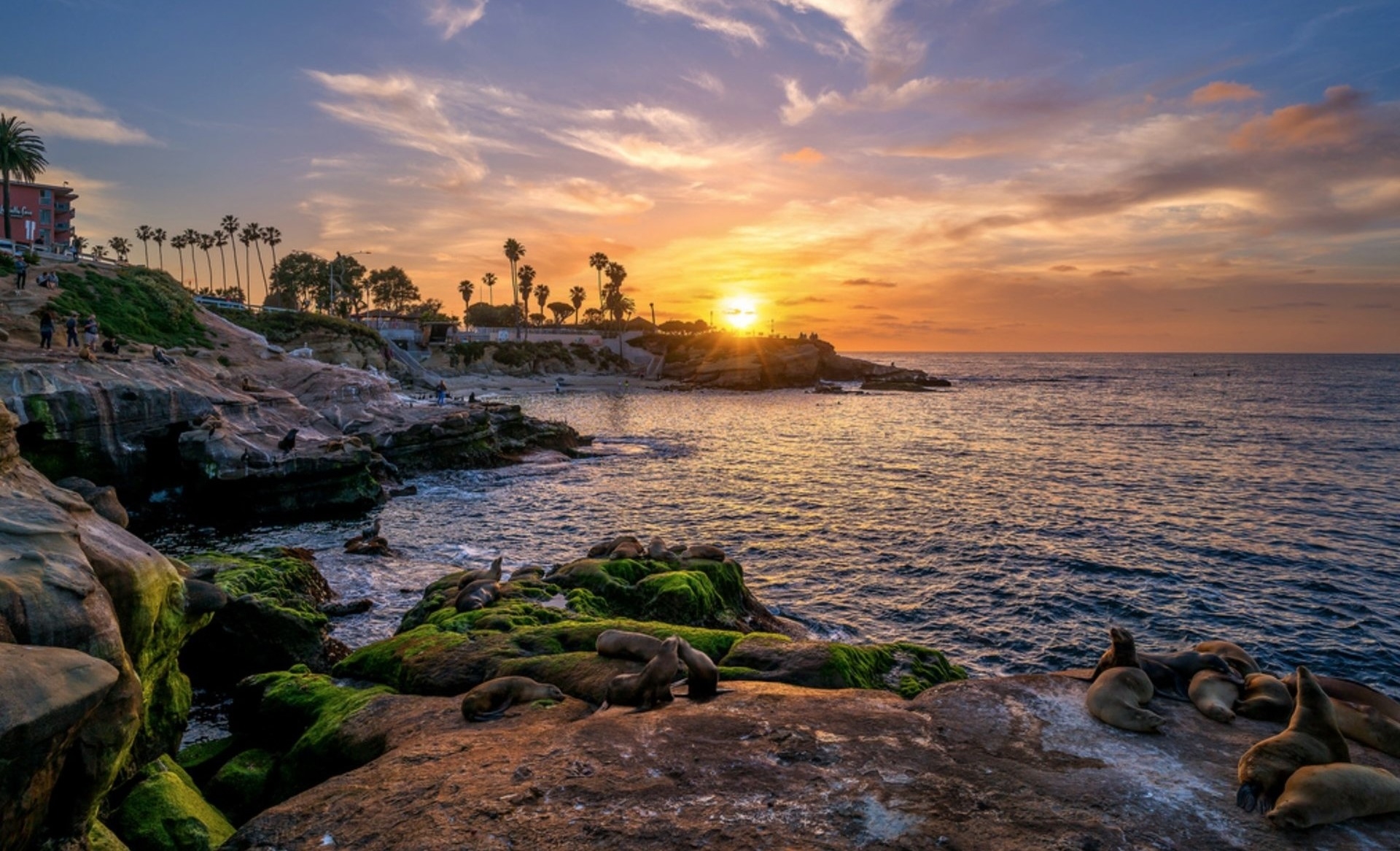 La Jolla Cove San Diego CR Image By San Diego Tourism Authority