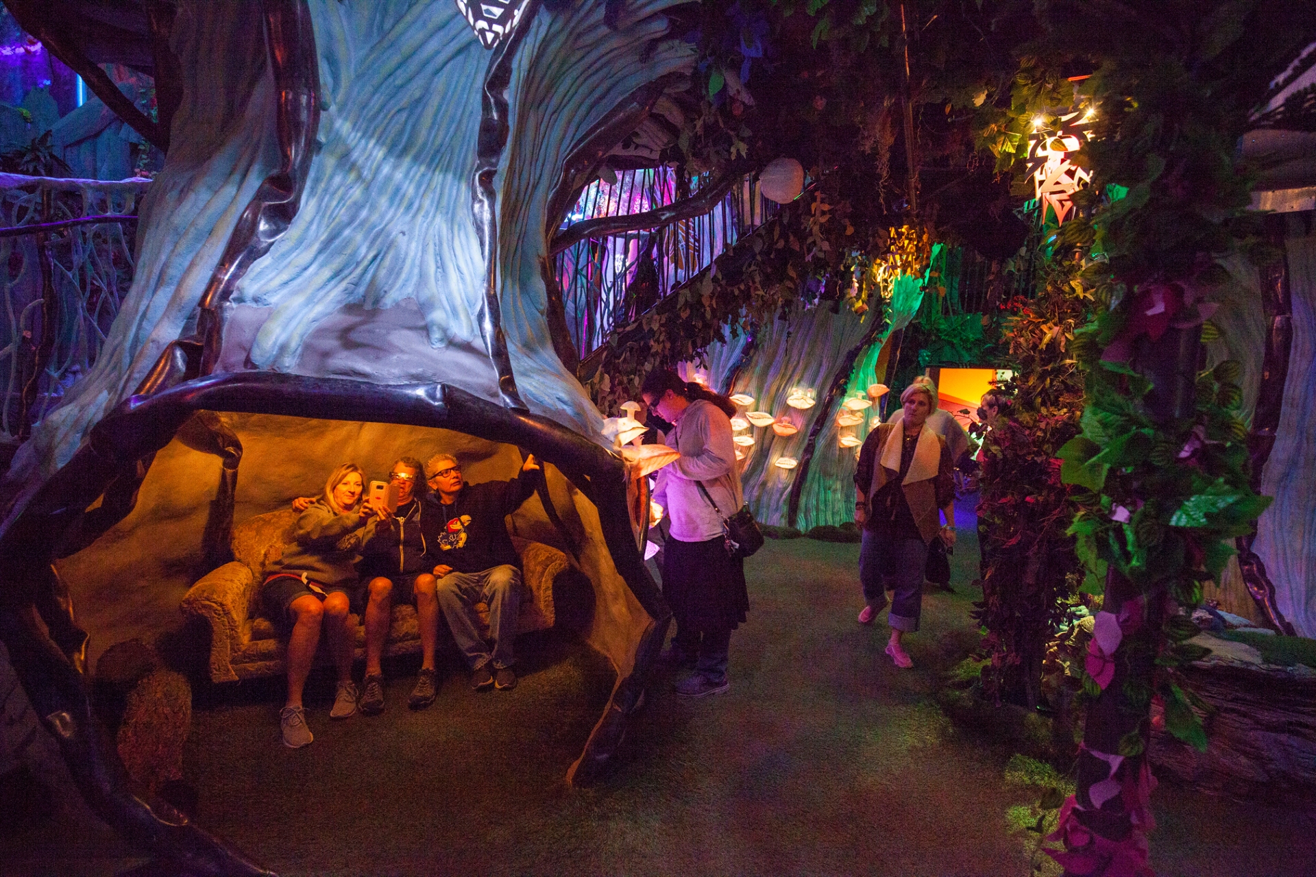 Meow Wolf Credit New Mexico True