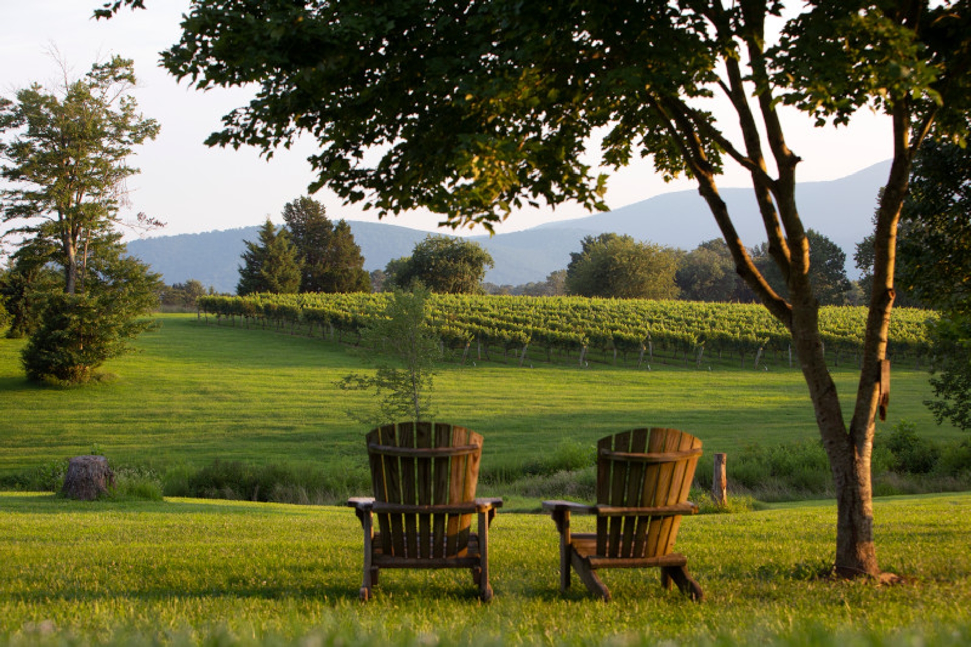 Afton, Monticello Wine Trail
