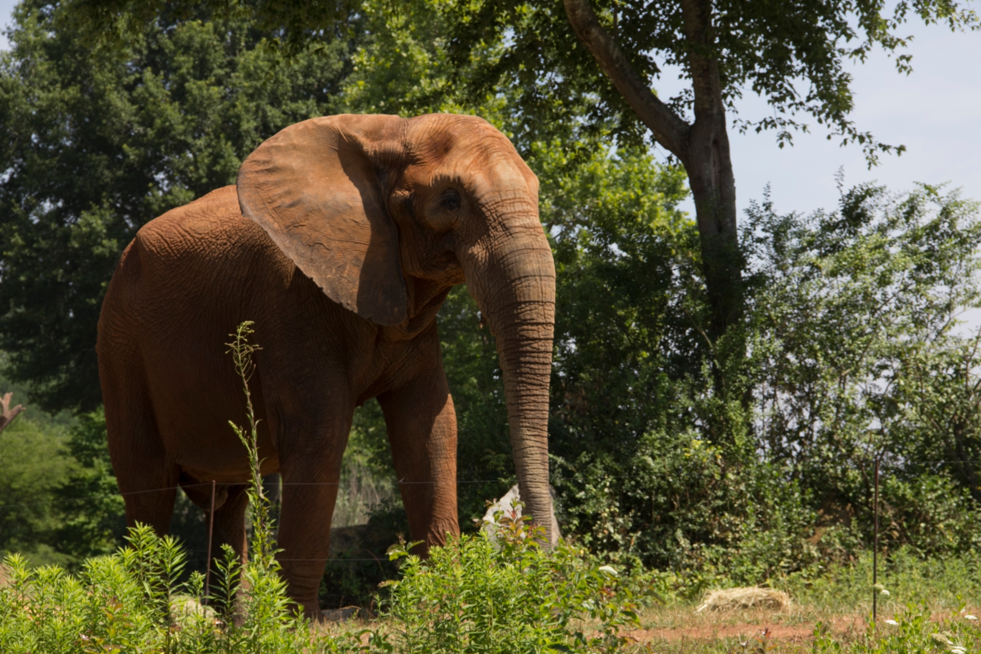 NCZoo RandolphCO NorthCarolina Image By Brand USA