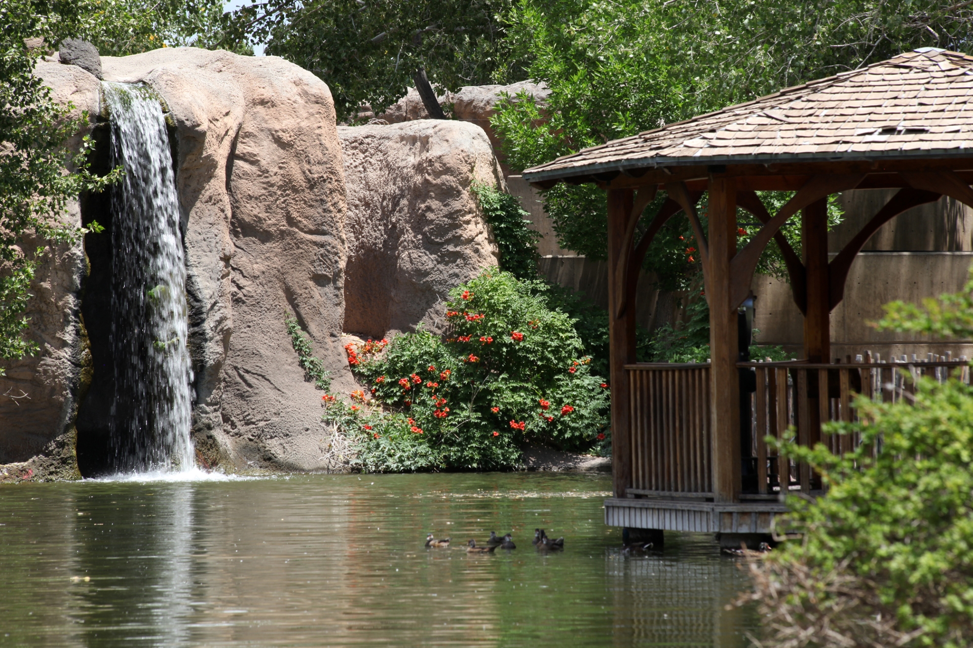 Rio Grande Zoo Credit New Mexico True
