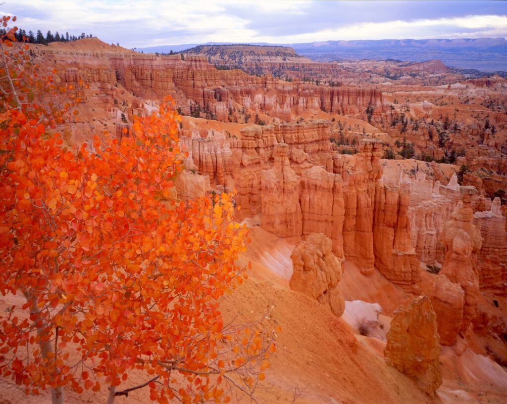 Sunset Point Bryce Canyon NP Image By Tom Till Utah Tourism Large