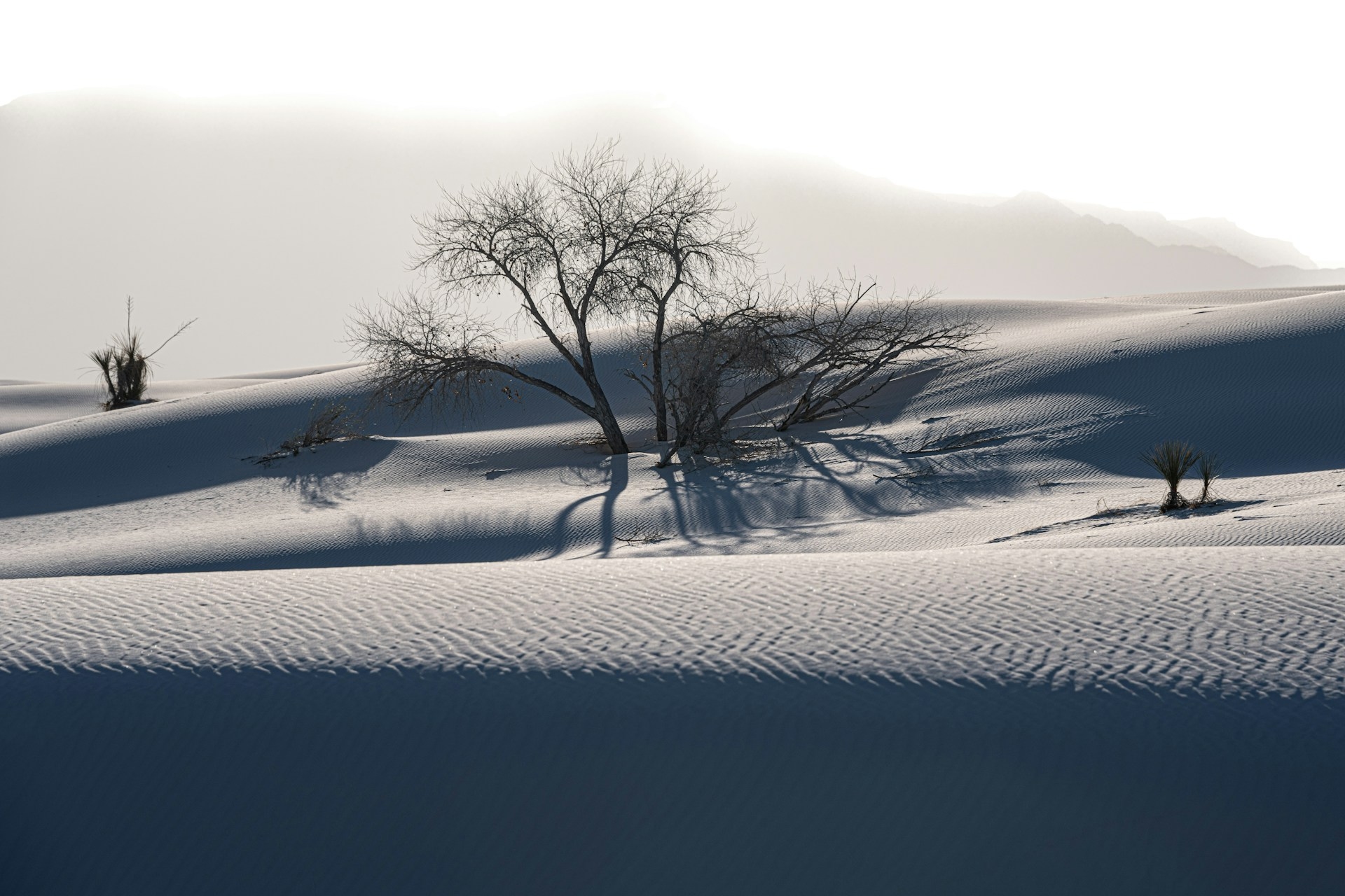 White Sands National Park Image By joseph corl unsplash