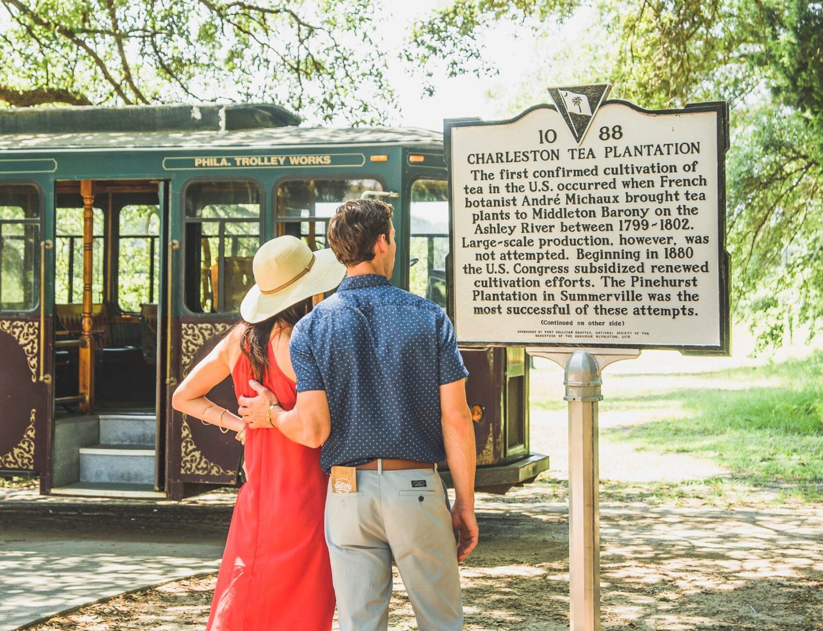 Charleston Tea Plantation Credit Discover South Carolina scaled e1722474258325