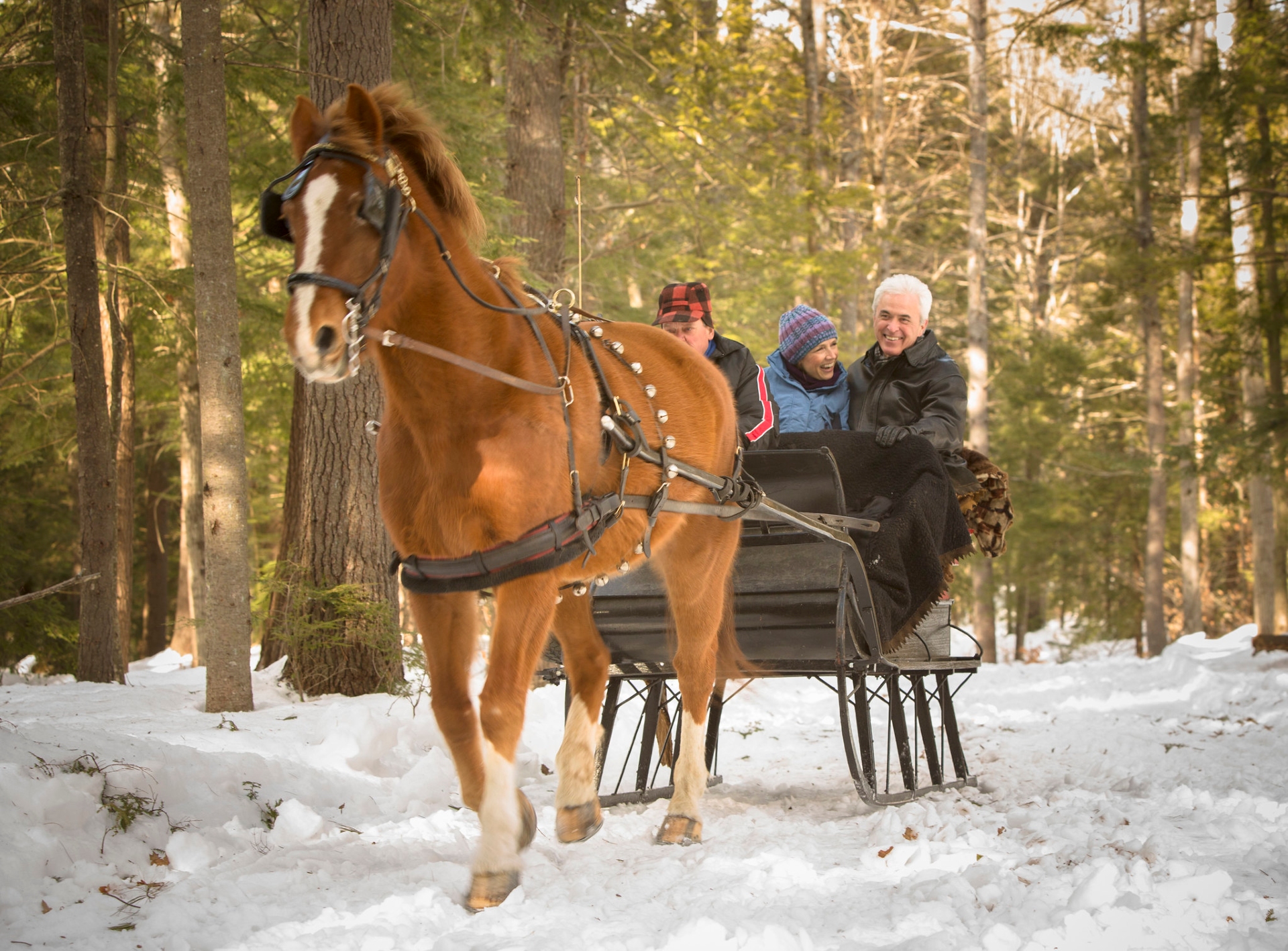 New Hampshire Sleigh Ride Image By New Hampshire Visitmh.gov