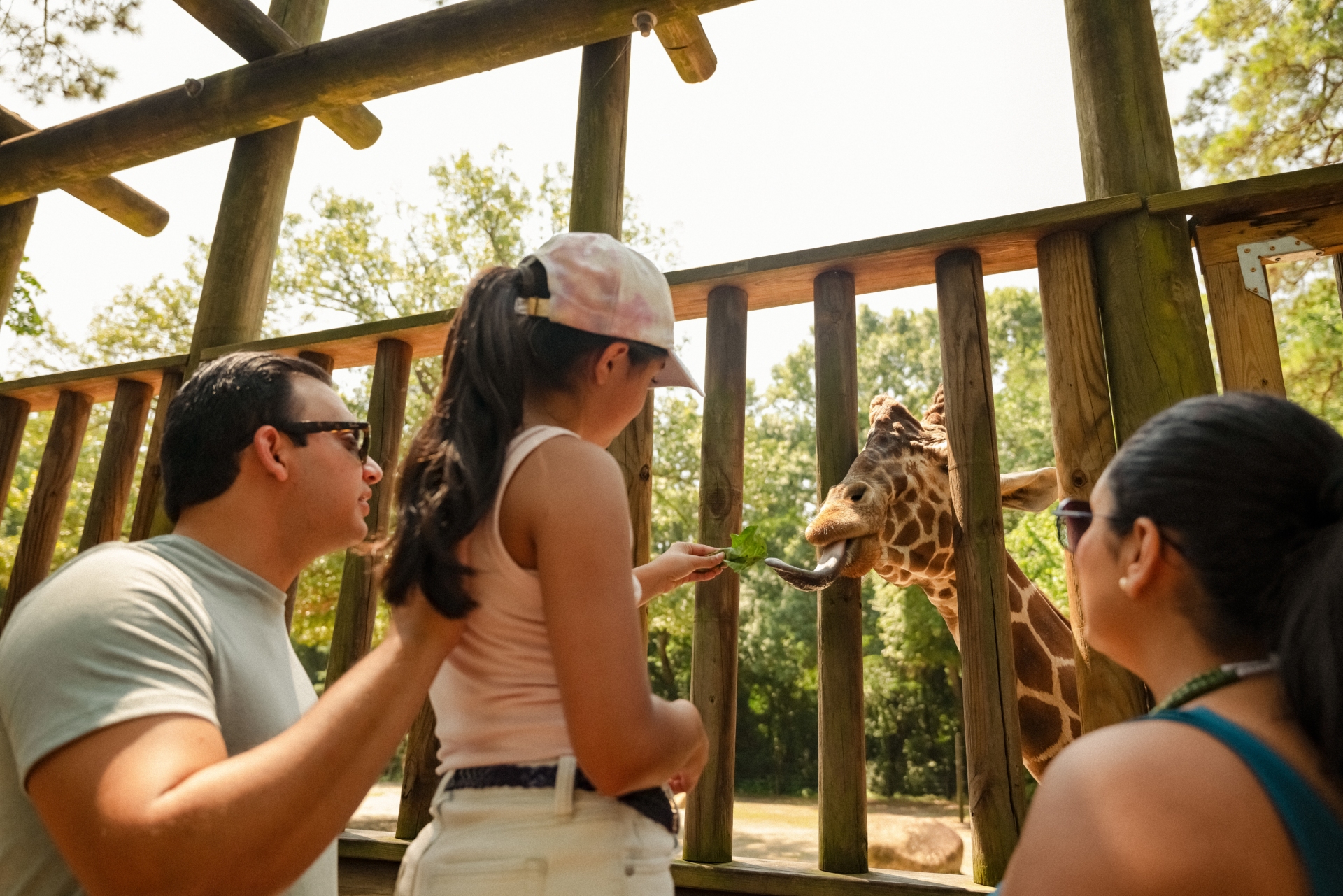 Riverbanks Zoo Gardens 2 Credit Discover South Carolina