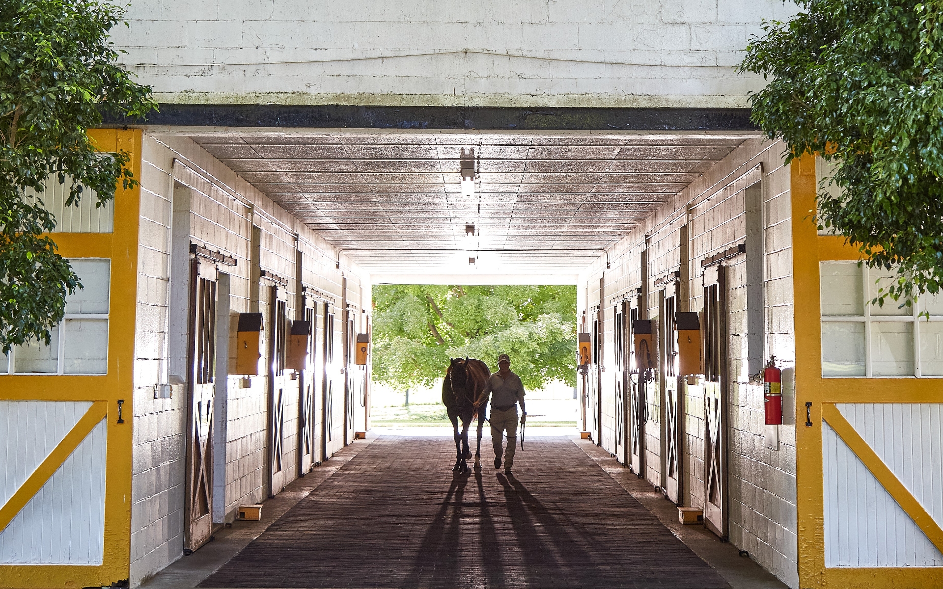 Barn view at Claiborne Farm, Lexington Kentucky