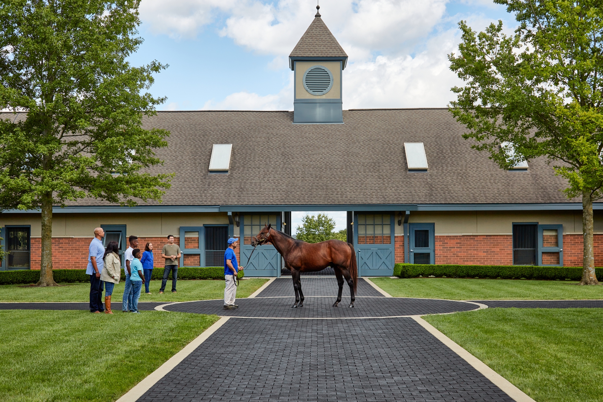 Godolphin at Jonabell Farm, Kentucky
