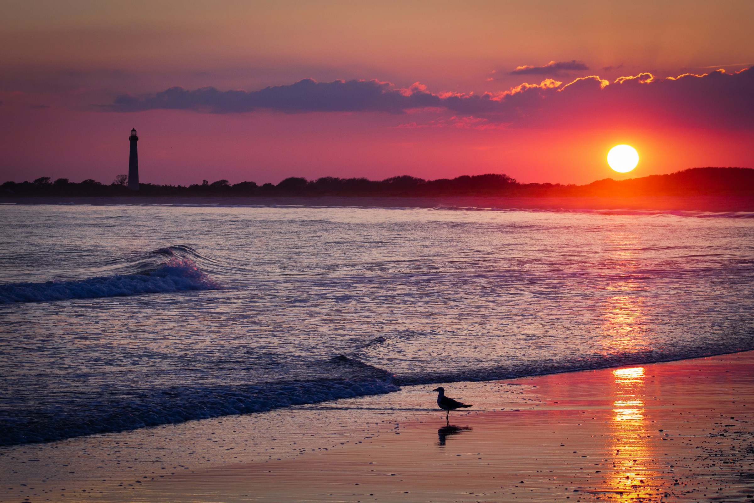 Cape May 