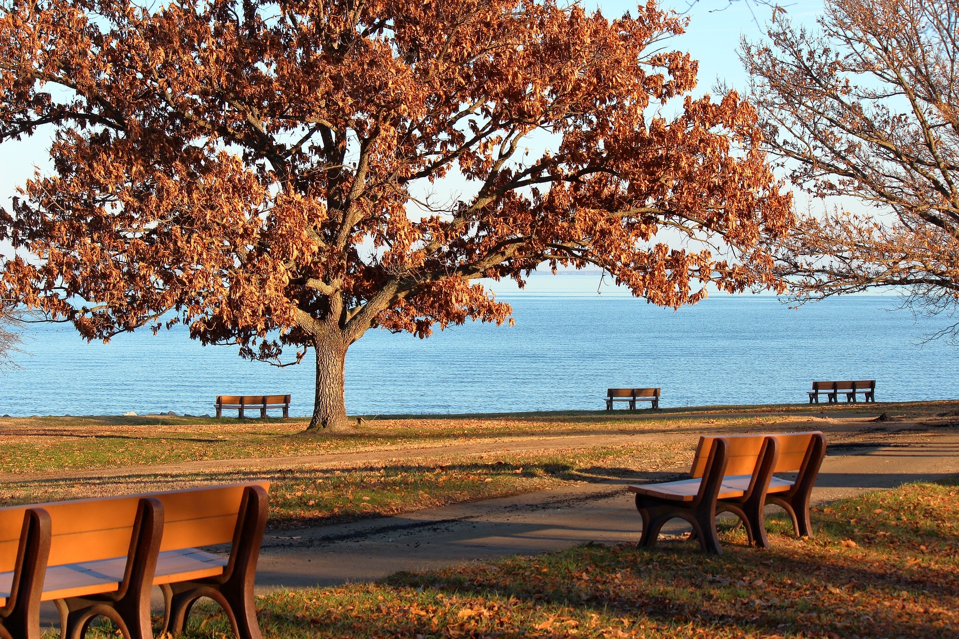 Downs Park in Chesapeake Bay Maryland Image by Jason from