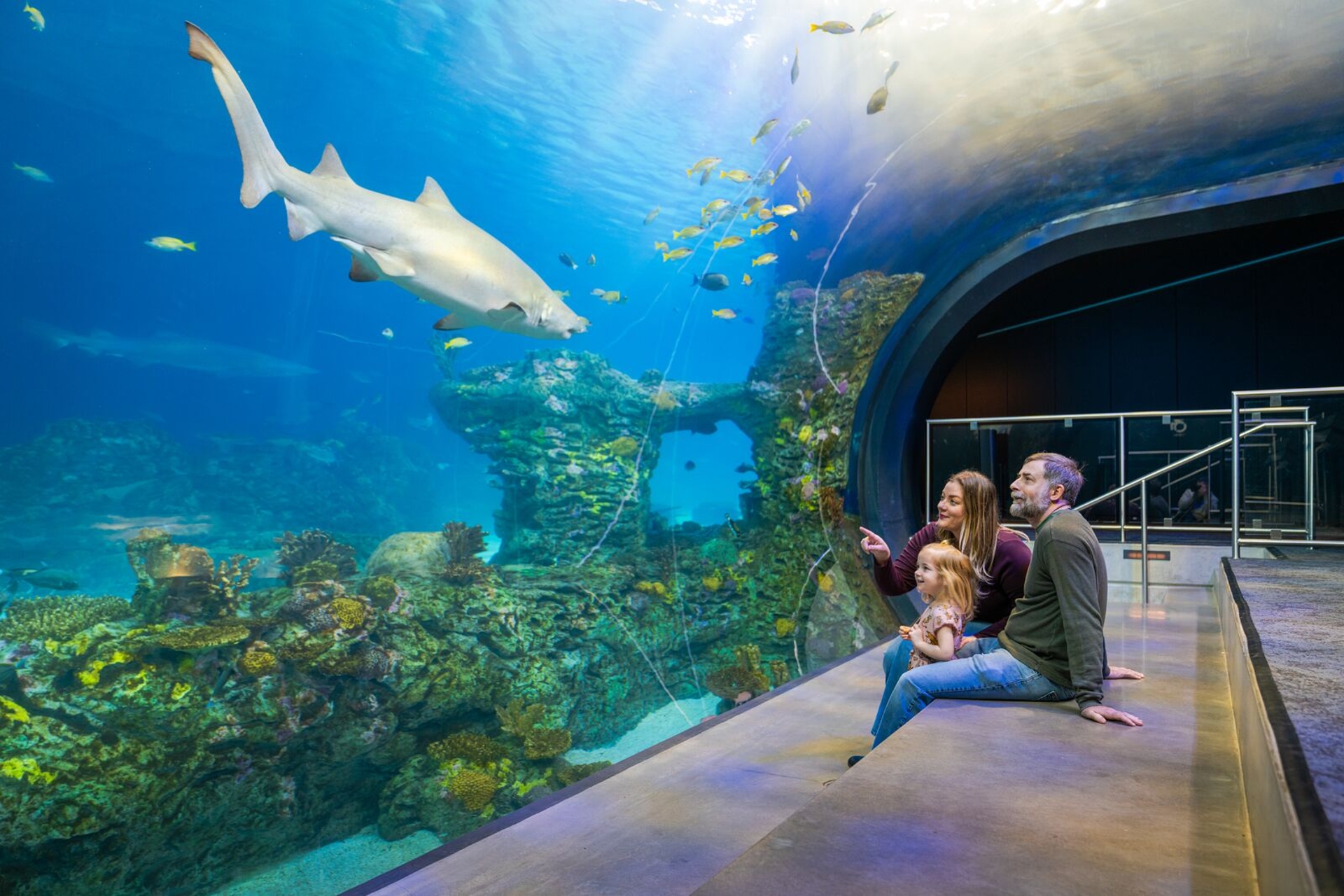 Kansas City Zoo Aquarium Missouri Image by Missouri Division of Tourism
