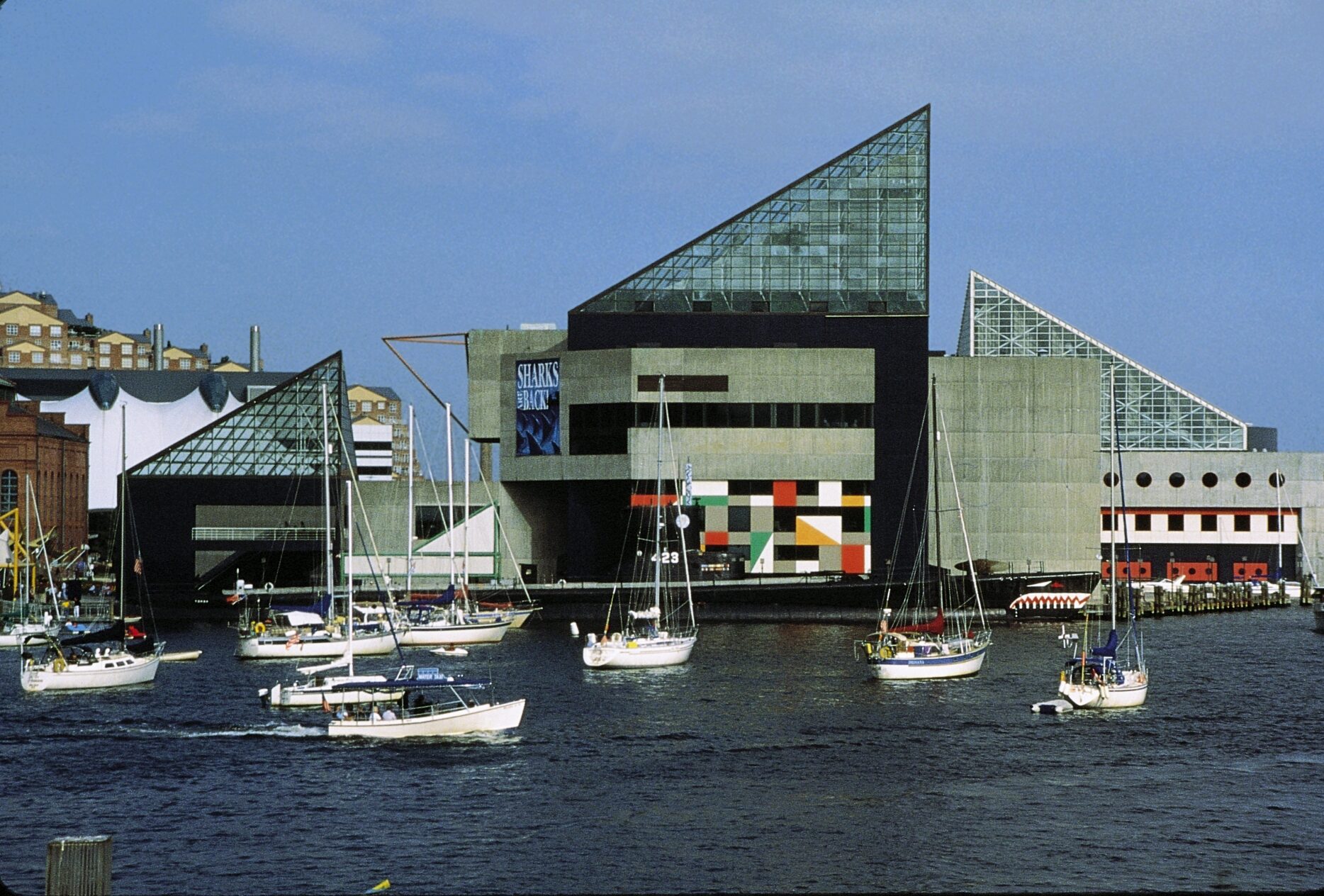 National Aquarium in Baltimore Maryland Image By Maryland Office of Tourism e1726210641125