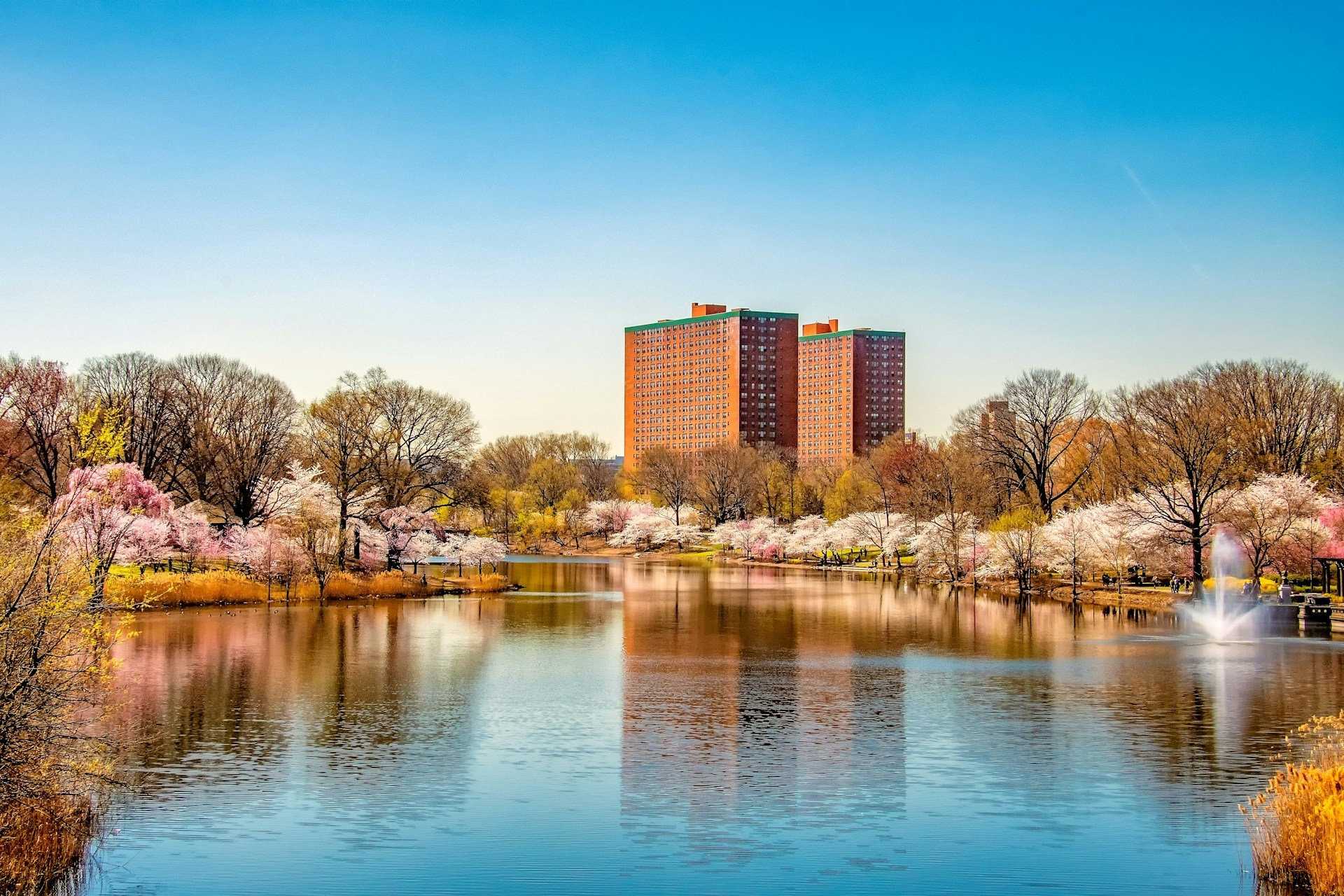 Newark 
