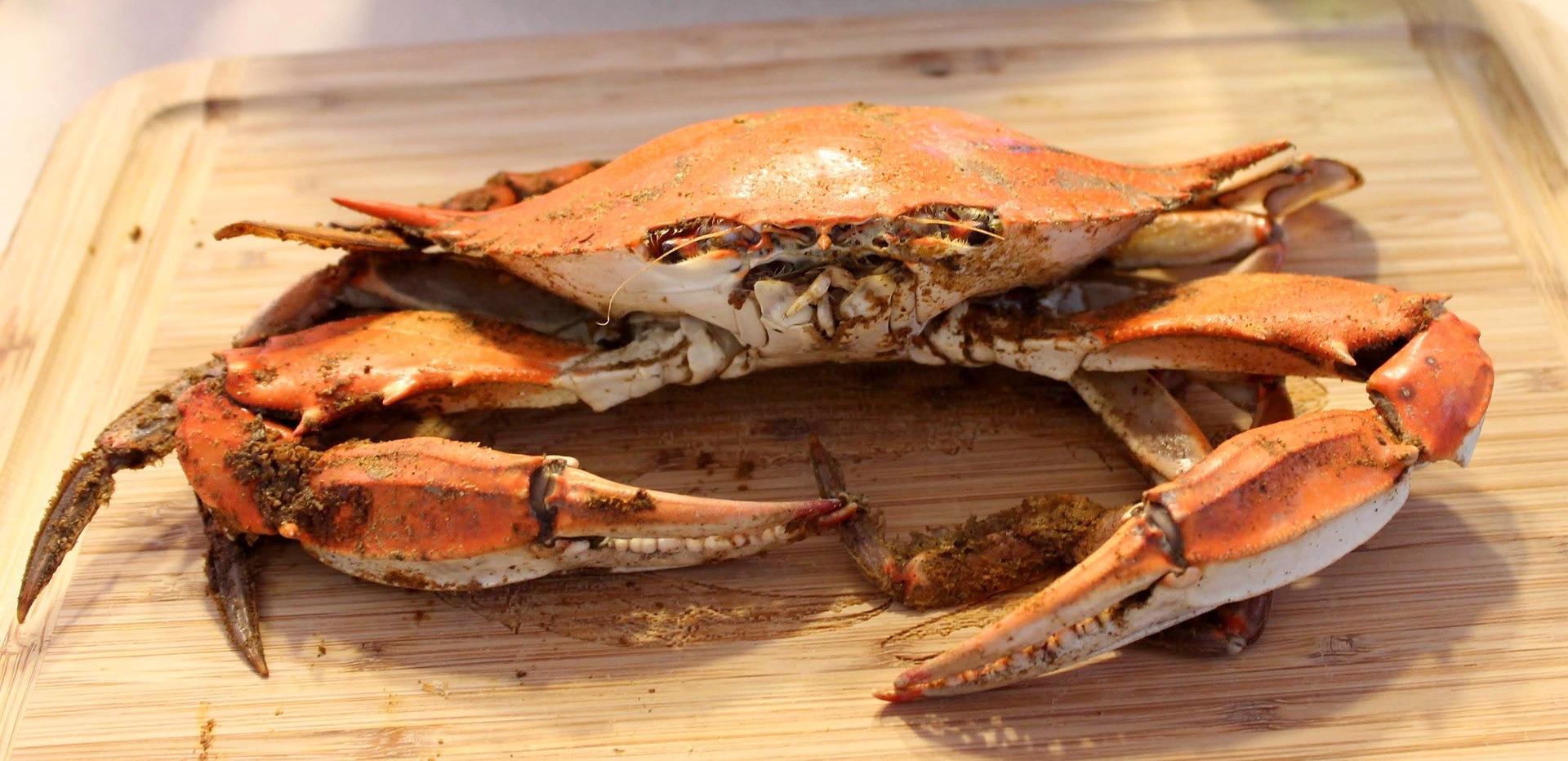 Steamed Blue Crab Maryland Image by metadog from