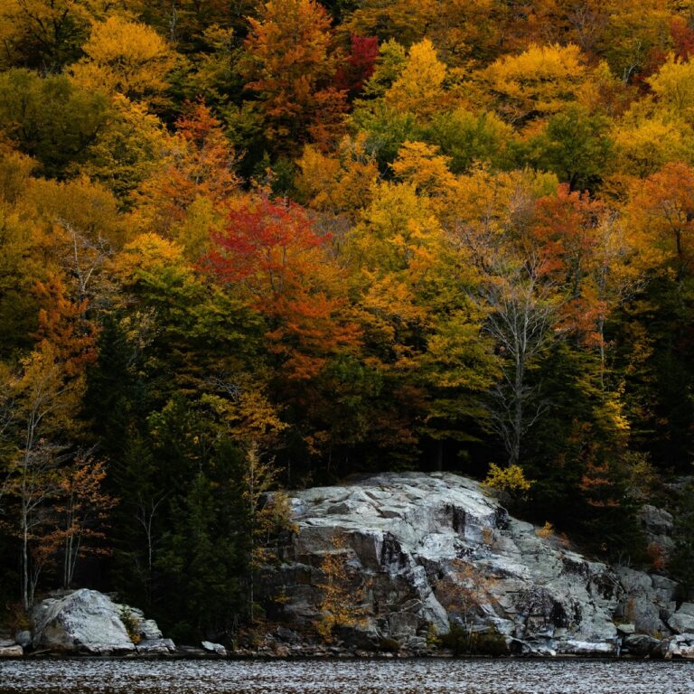Vermont Image By radu lin unsplash e1725454103469