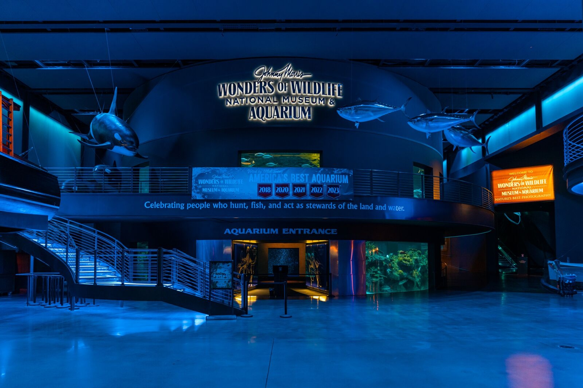 Wonders Of Wildlife National Museum Aquarium Springfield Missouri Image by Missouri Division of Tourism 1