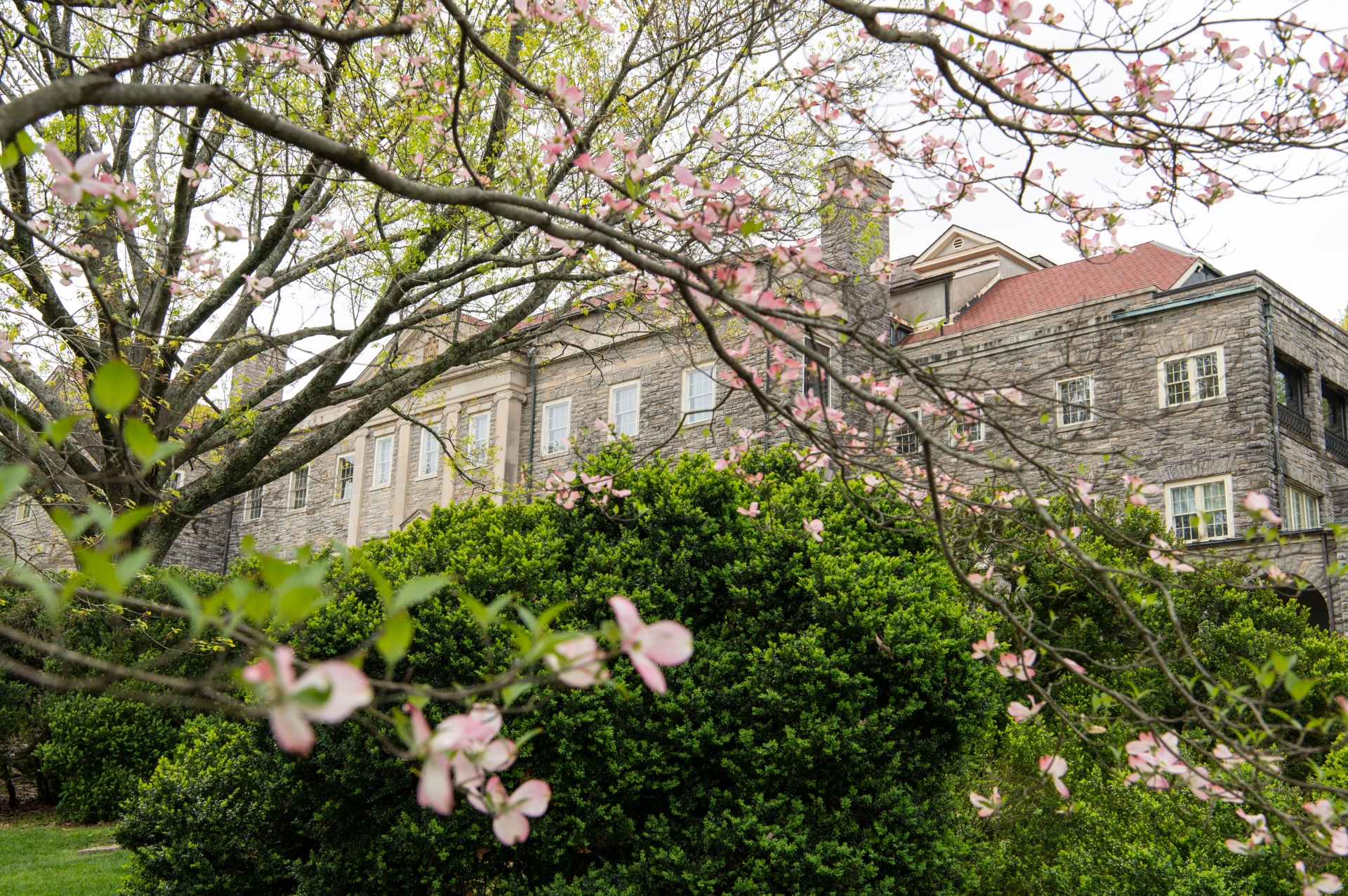 2022 Cheekwood SpringArtHop Estate Gardens Image by Caitlin Harris Nashville Music City