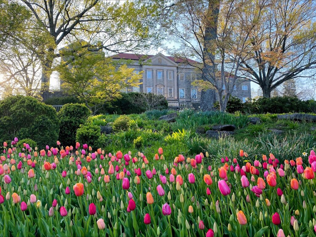 Cheekwood Estate Gardens with Tulips in front of Mansion Nashville TN Image By Nashville Music City