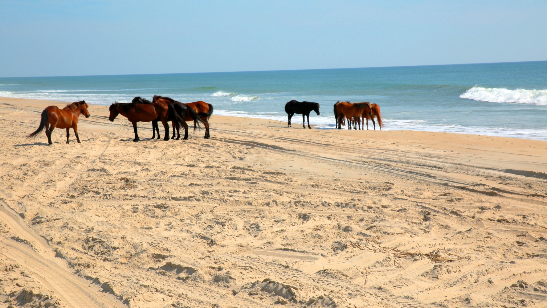 Corolla WildHorses Outerbanks Credit Brand usa