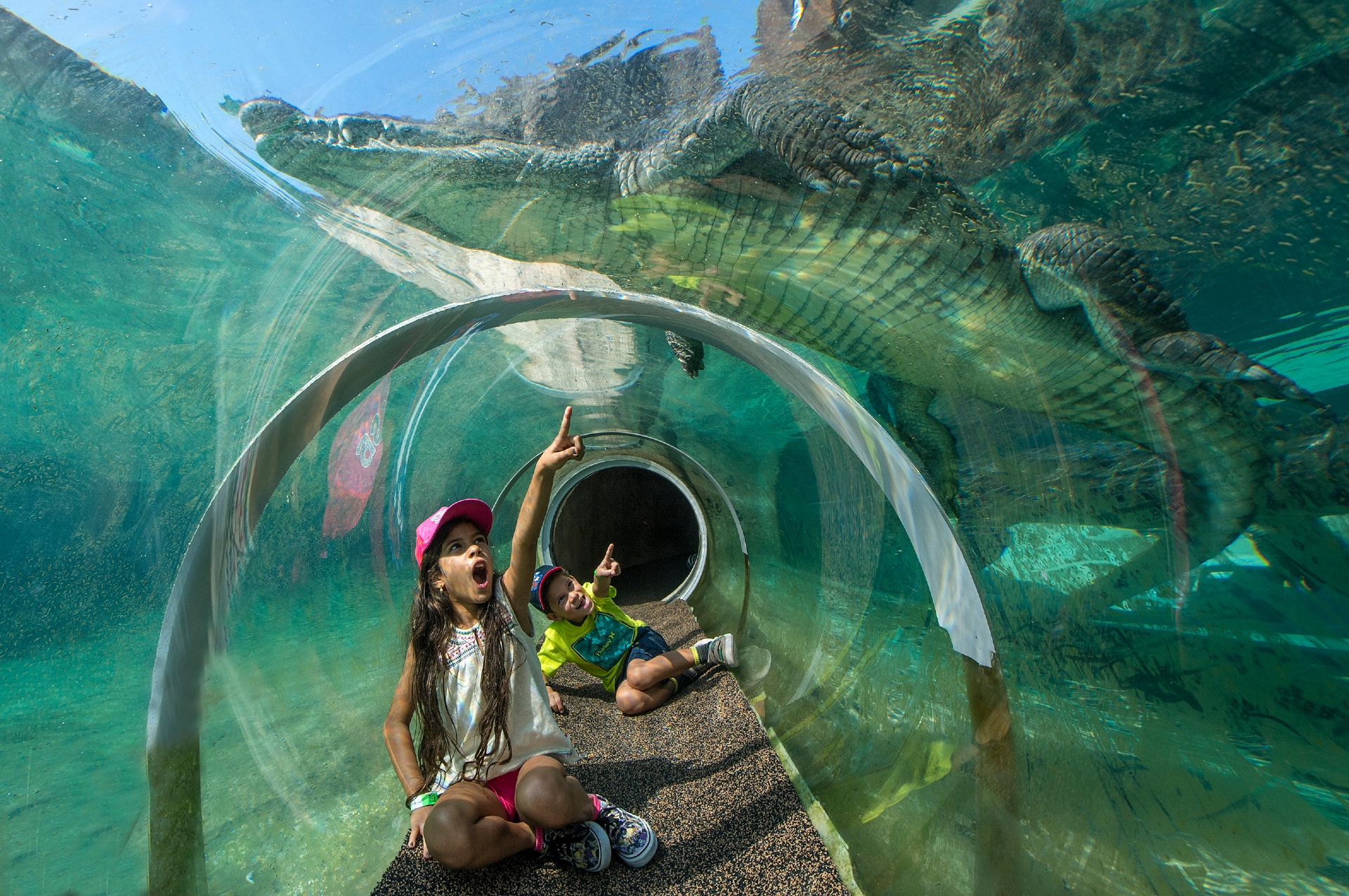 Croc Tube zoo Miami Image By Go City